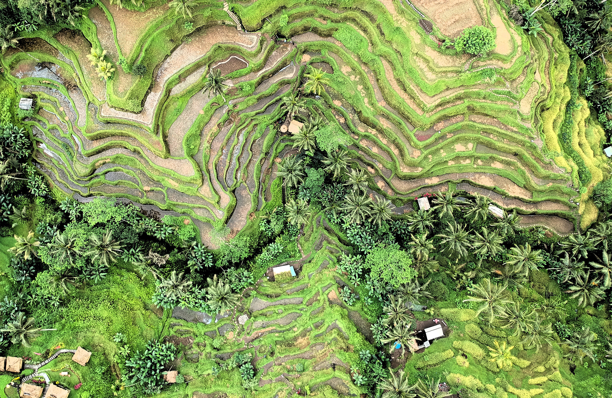 Reise til Bali med KILROY