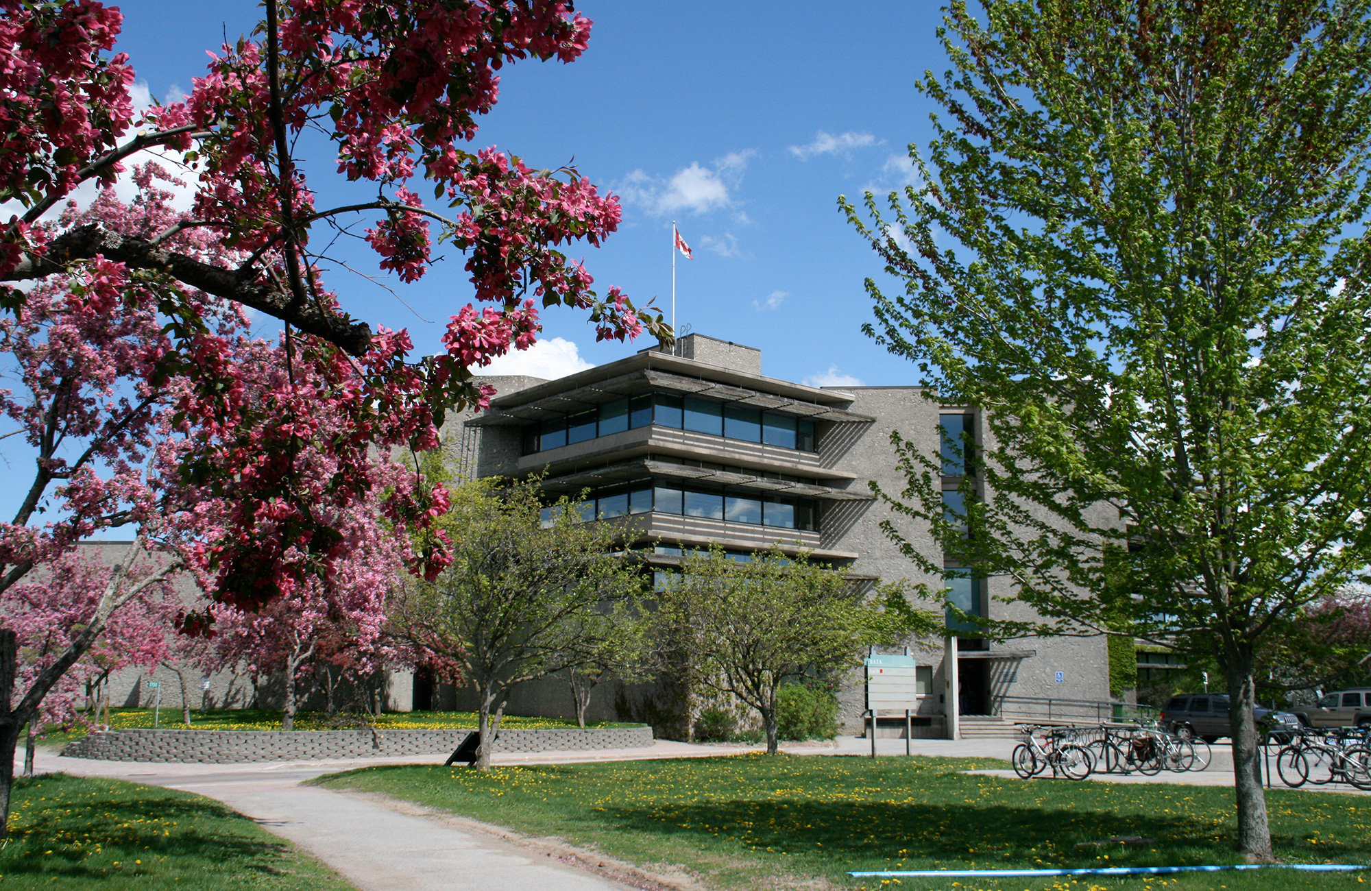 Studere på Trent University