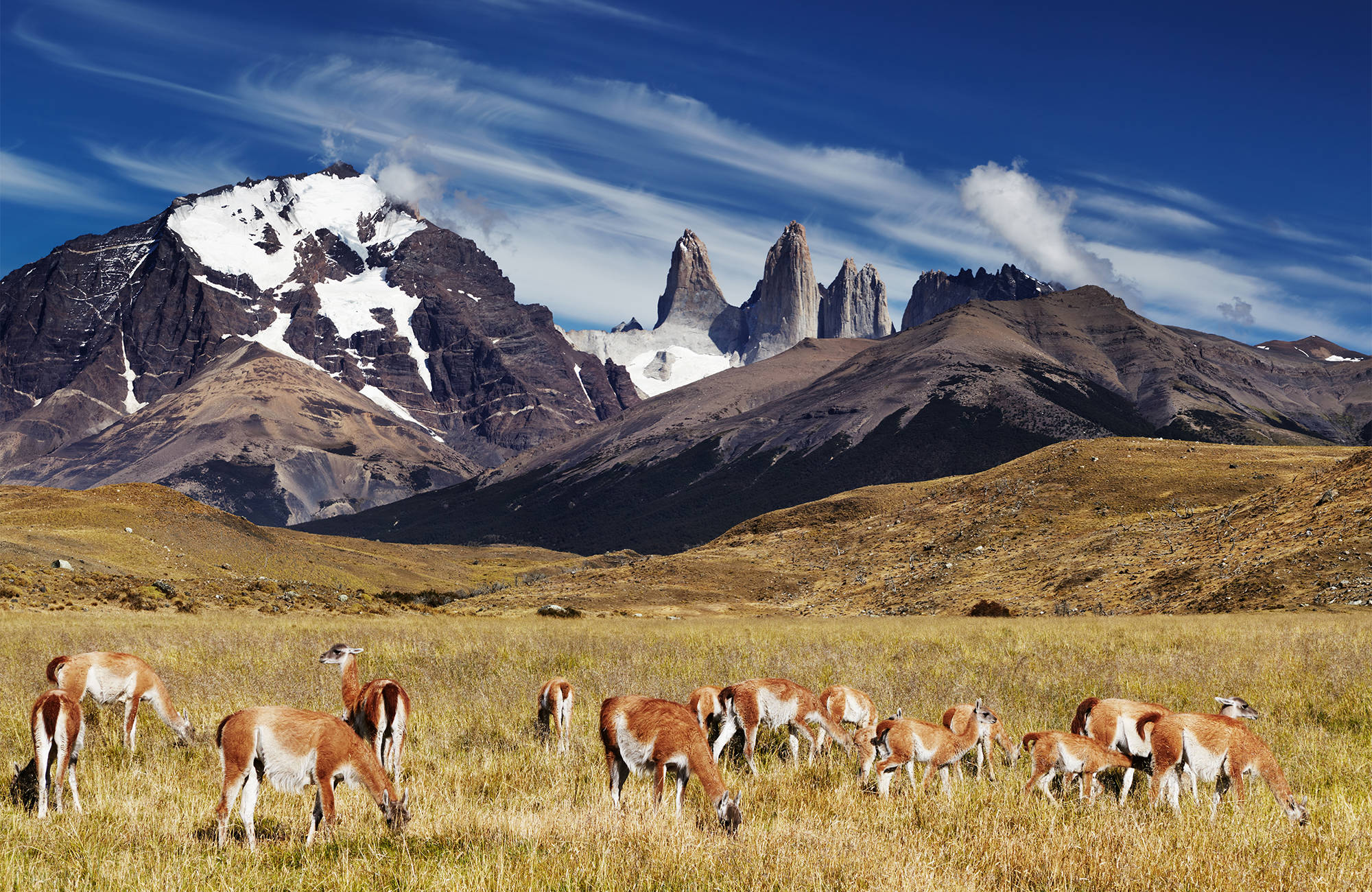 south-america-torres del paine-chile-cover
