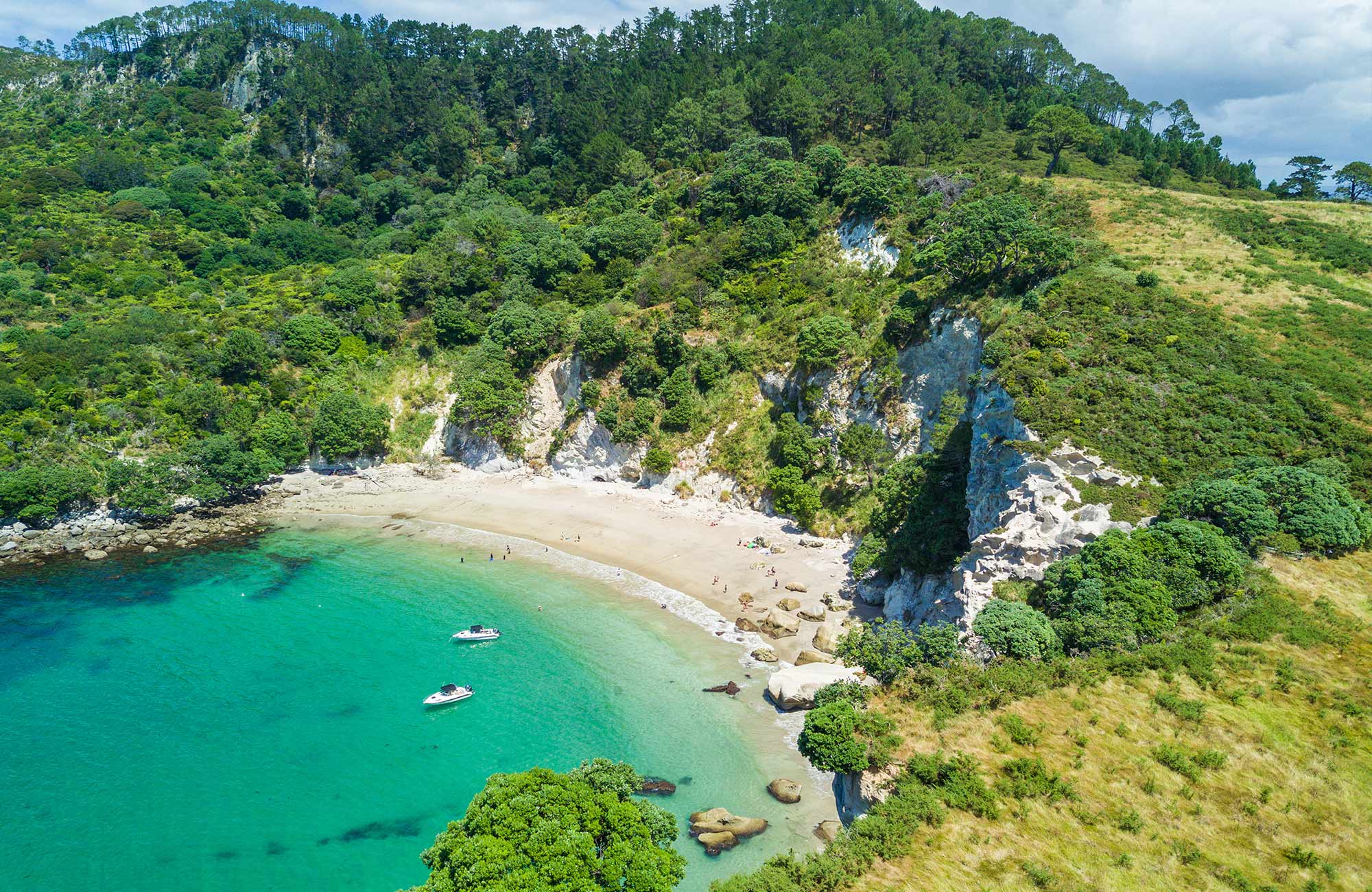 Årsstudium i sport og ernæring på New Zealand