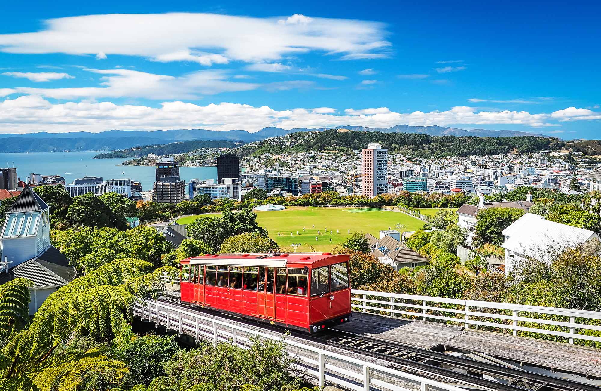 northern-island-new-zealand-wellington-city-cover