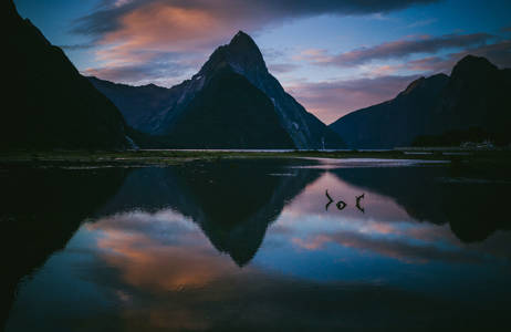new-zealand-milford-sound-cover