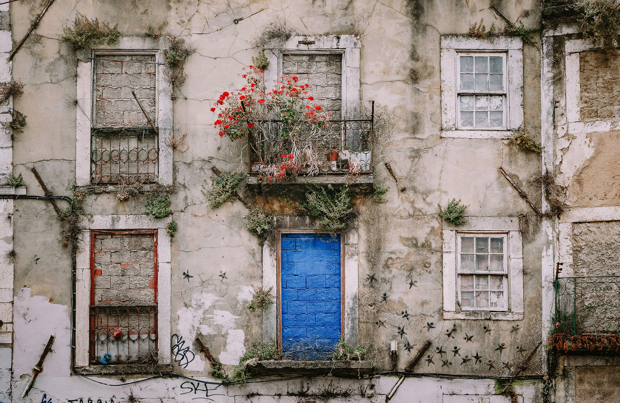 portugal-old-house-facade-flowers-cover