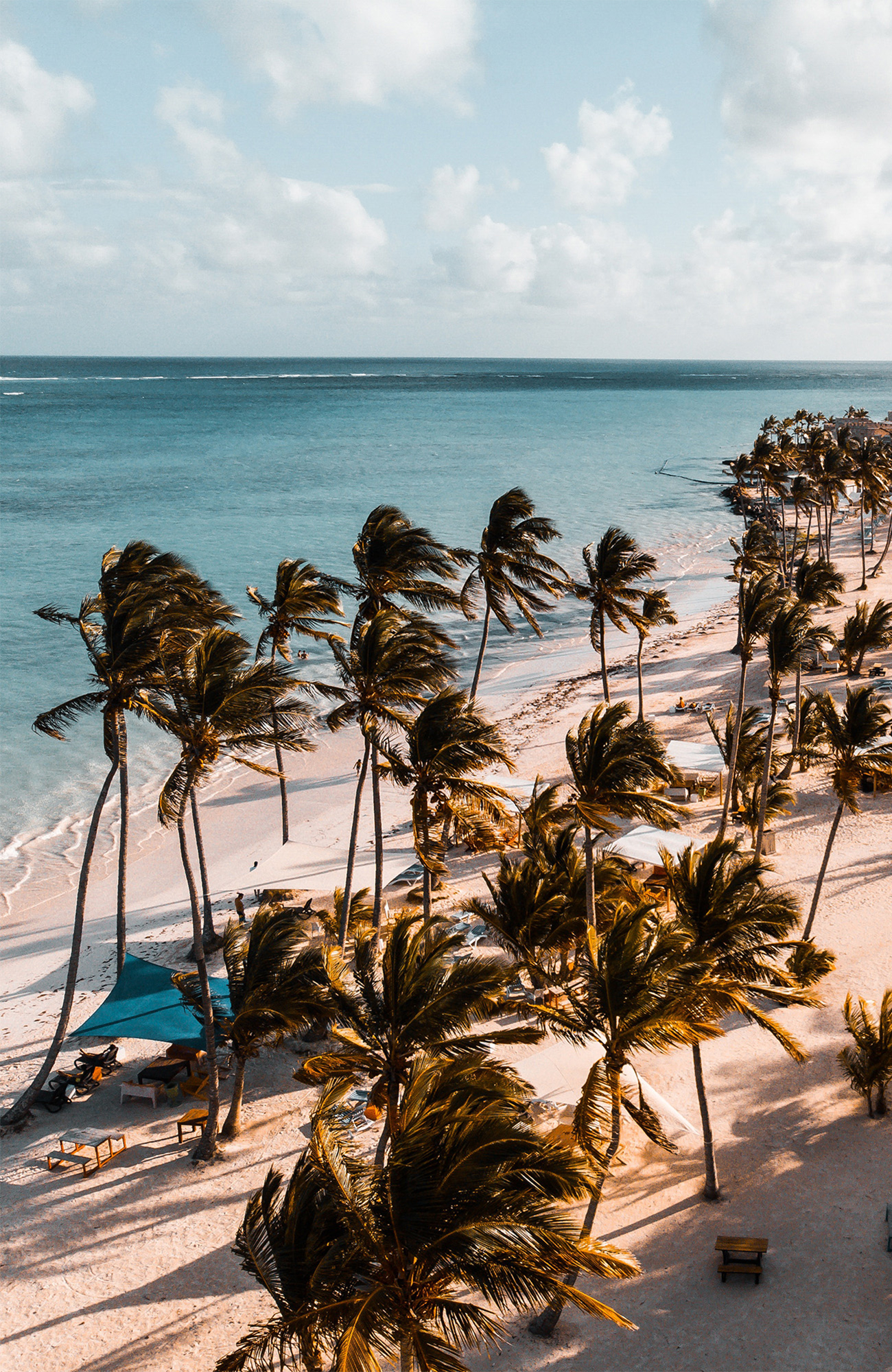 dominican-republic-beach-windy-palmtrees-sidebar
