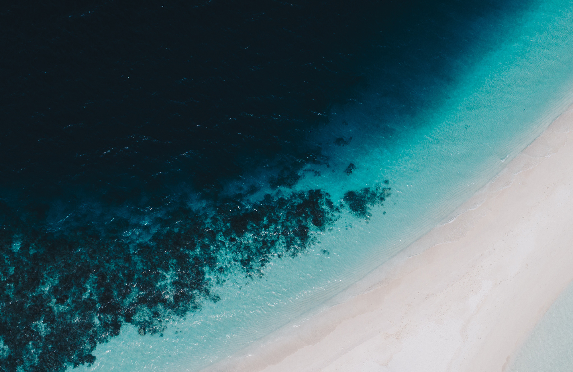 shore-waves-beach-drone-cover