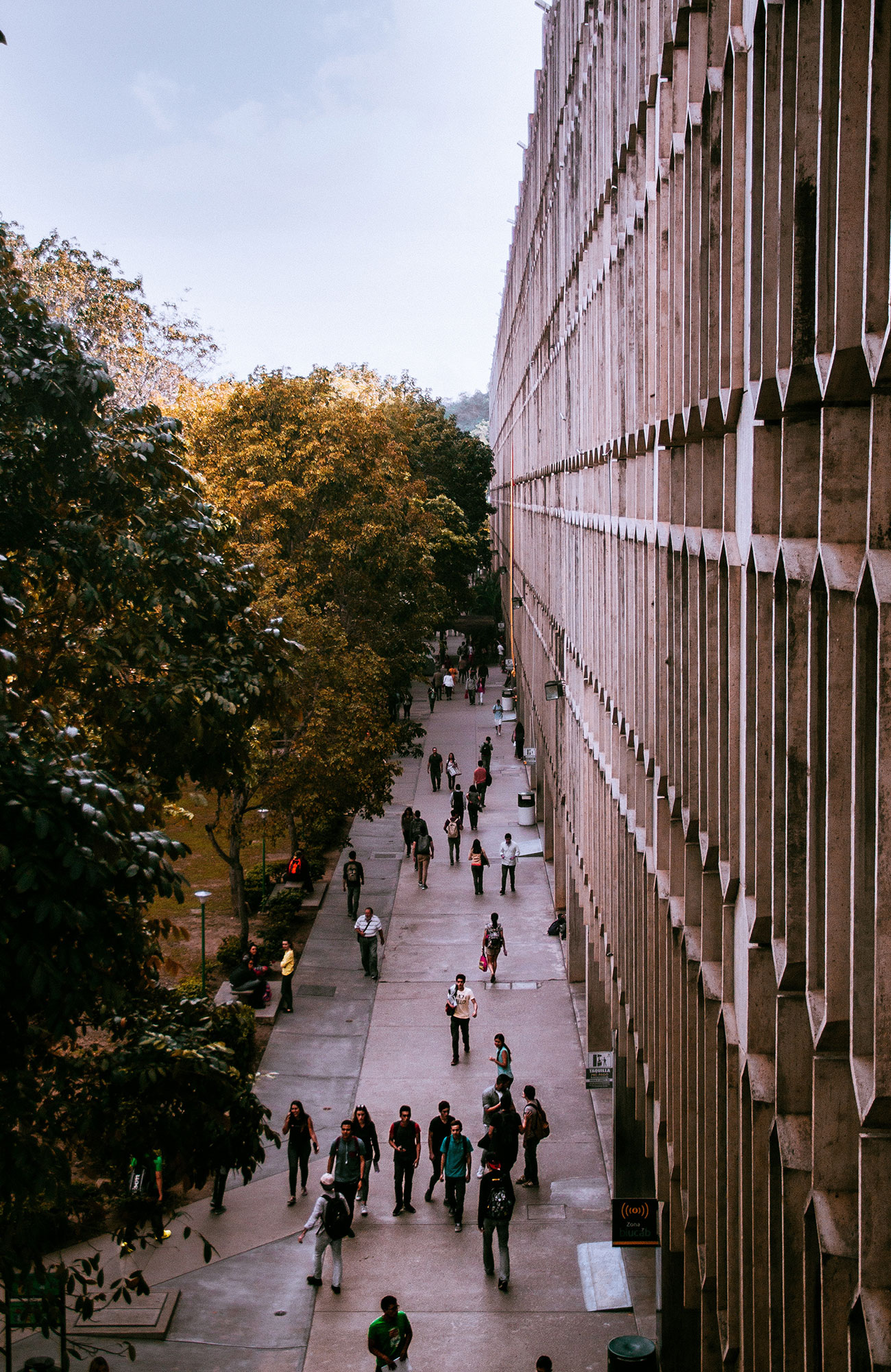etter studiene i utlandet