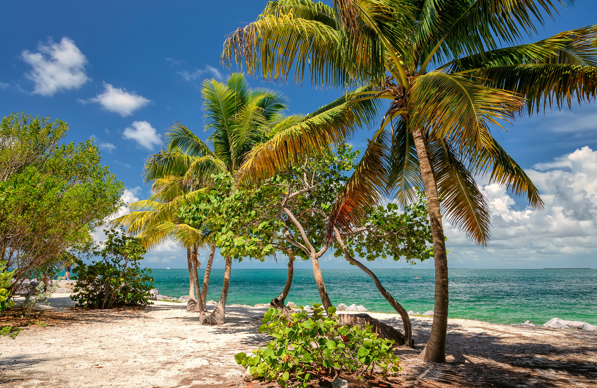 Studier i Florida | Studer i Florida