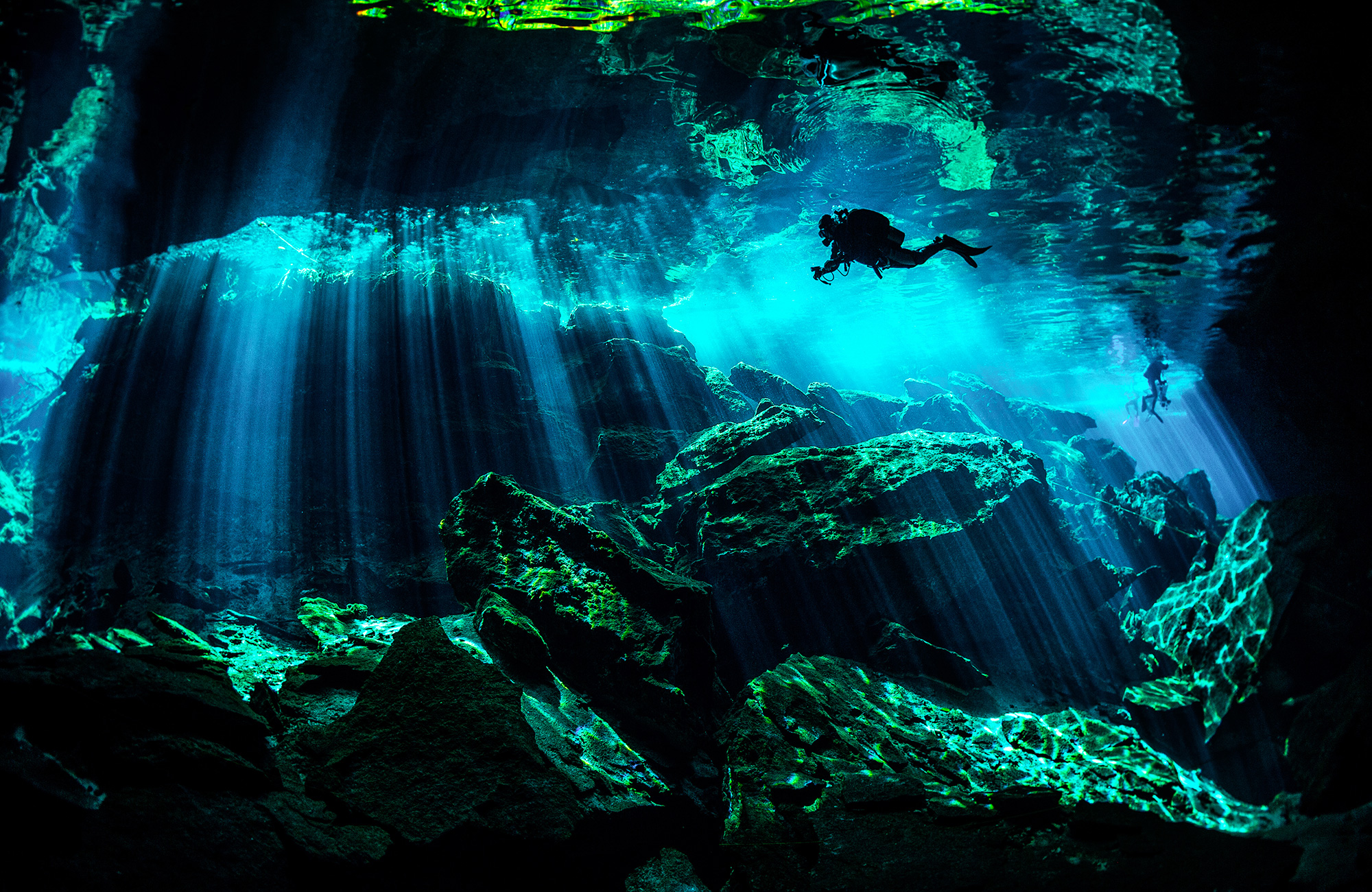 Dykking i Nord-Amerika | KILROY