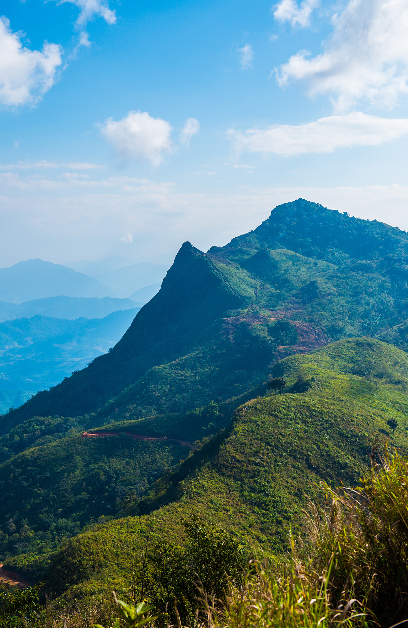 trekking-thailand-mountain-view-at-doi-pha-tang-sidebar