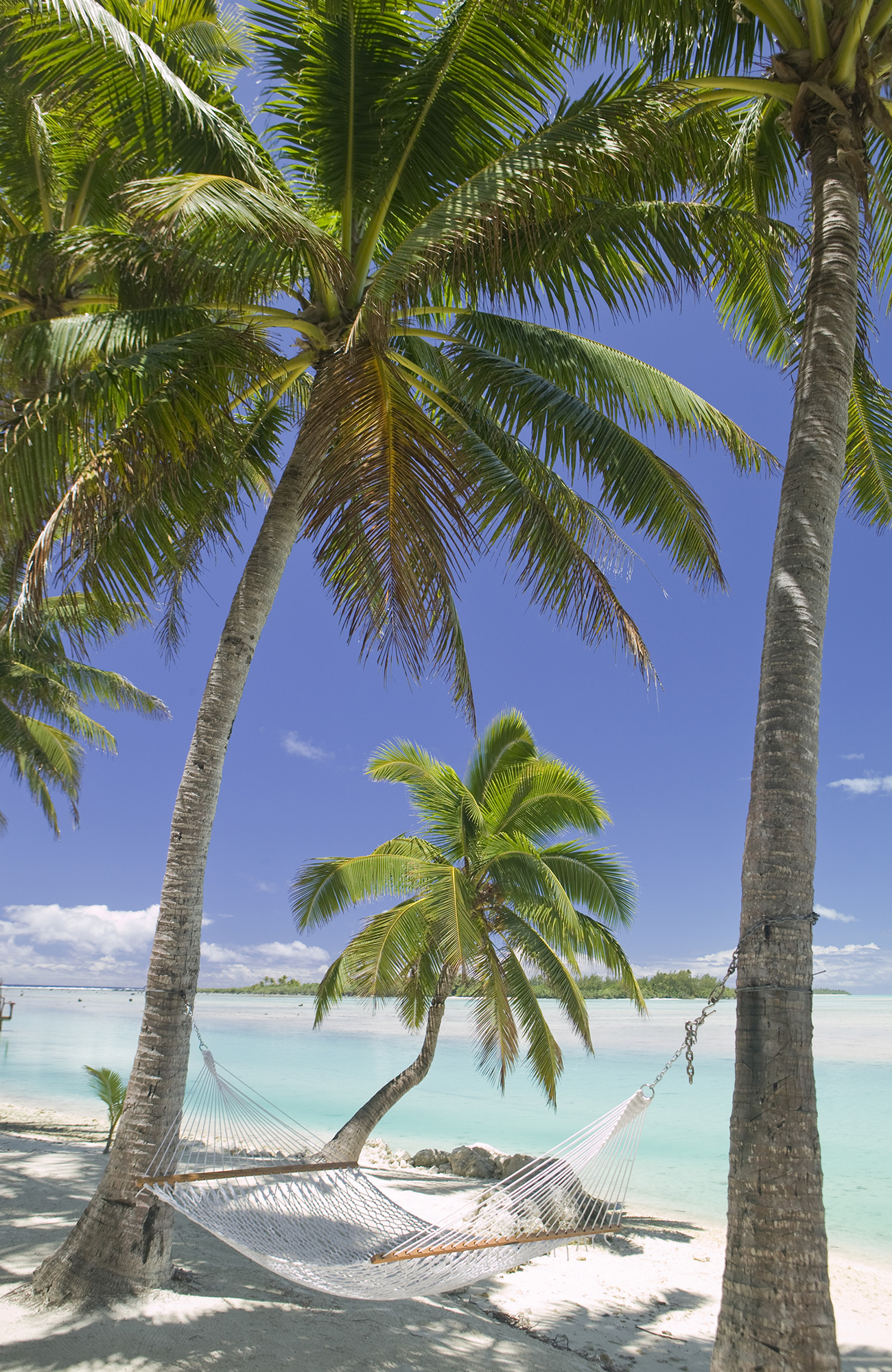cook-islands-hammock-palm-trees-sidebar