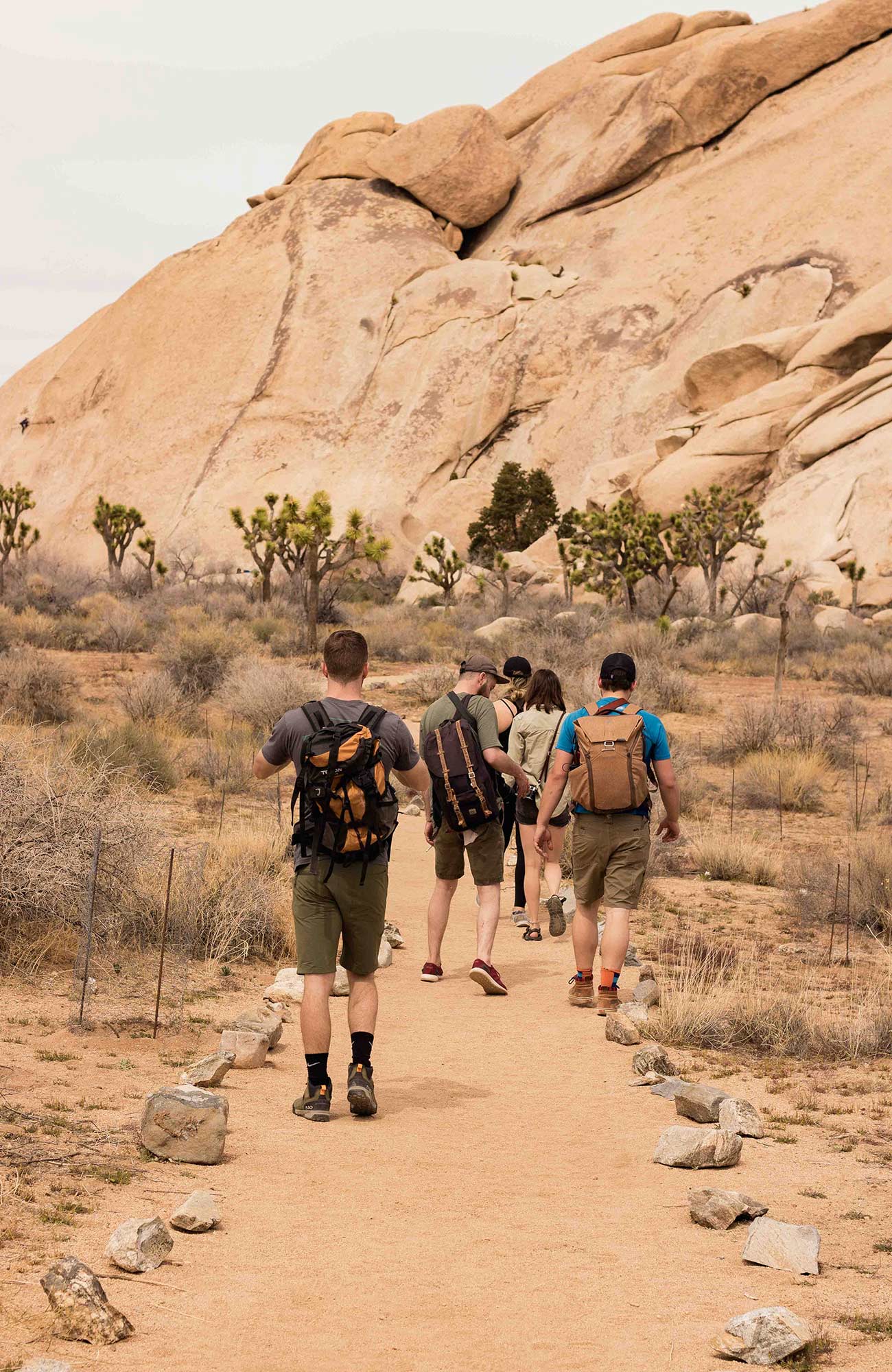 Joshua tree nasjonalpark usa - trekking i usa