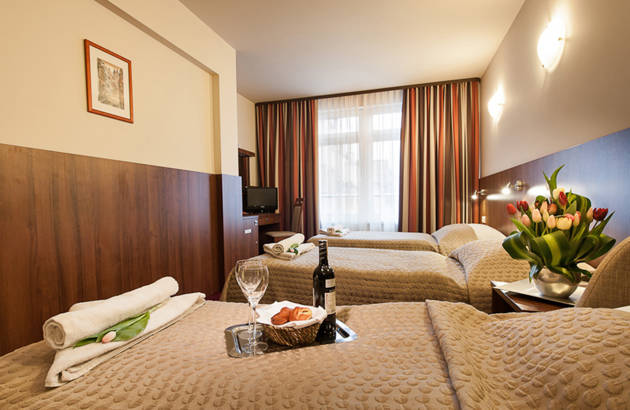cracow-poland-hotel-alexander-room