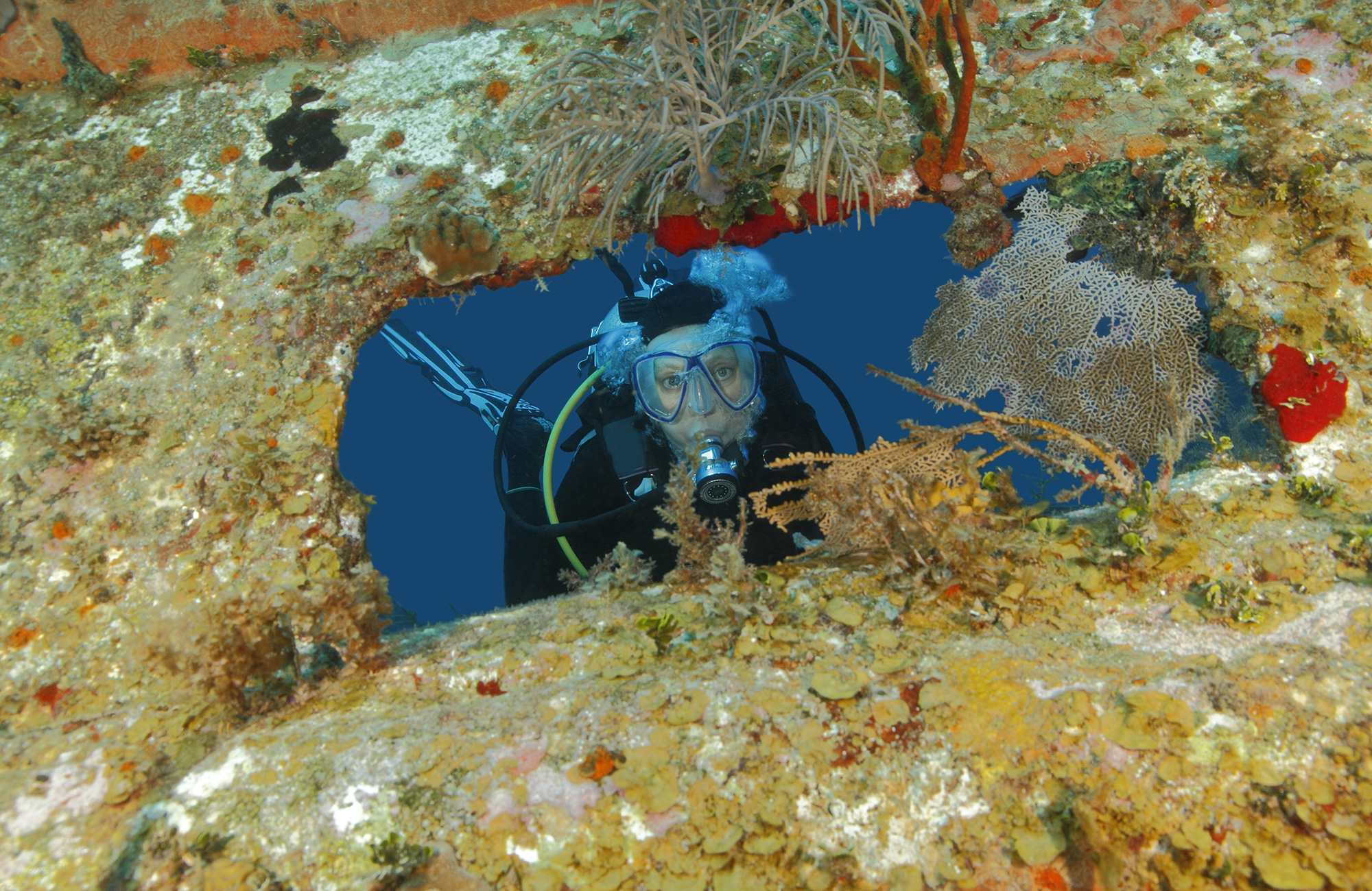 Dykking i Honduras | KILROY