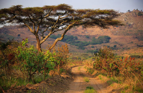 nyika national park i malawi