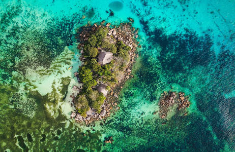 oppdag livet under vann på en reise til seychellene