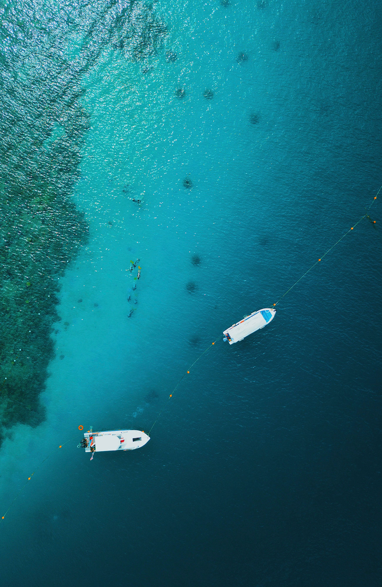 reise til Borneo med KILROY