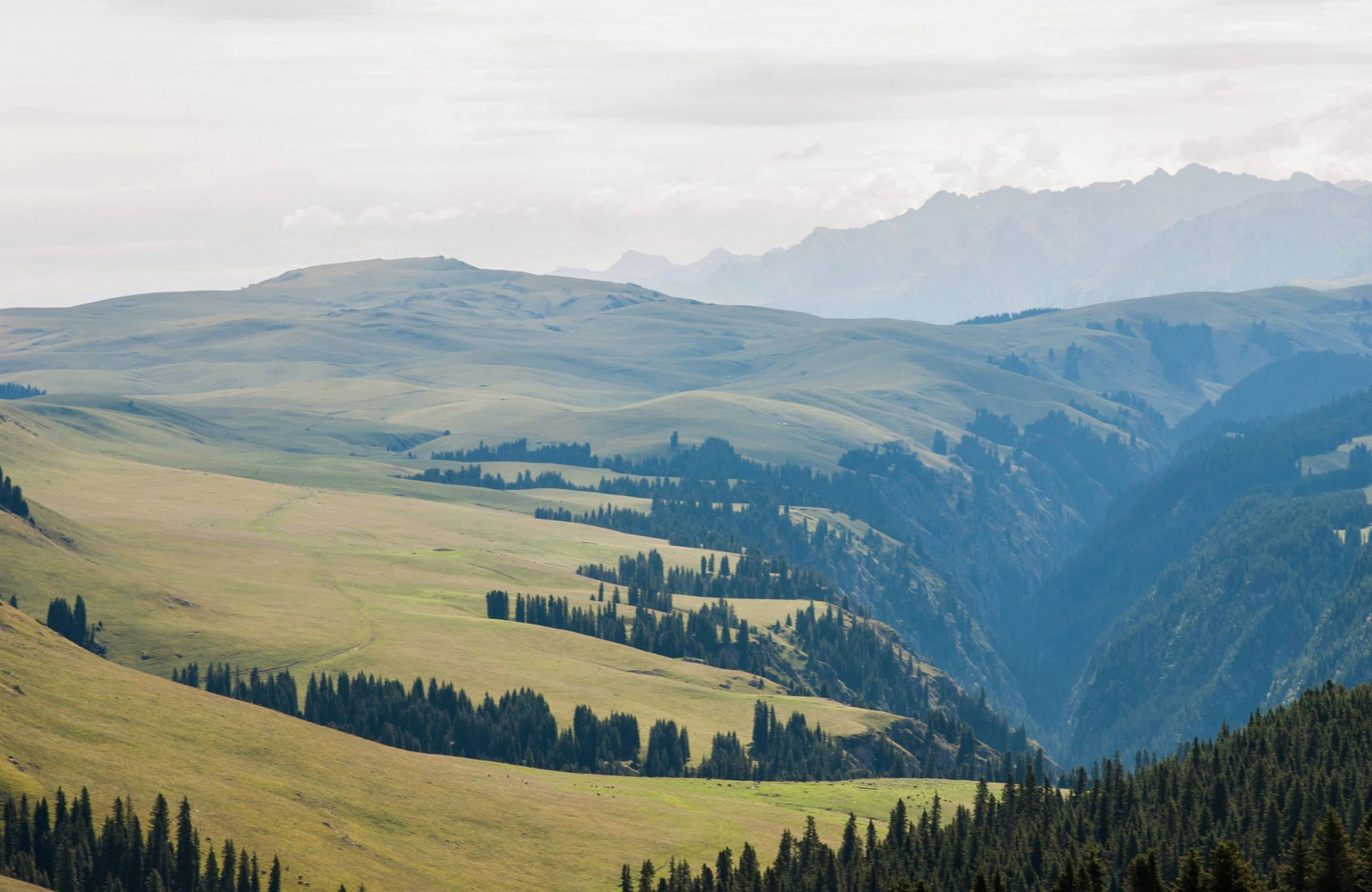 Reiser til Ulan Bator - Backpacking i herlig natur!