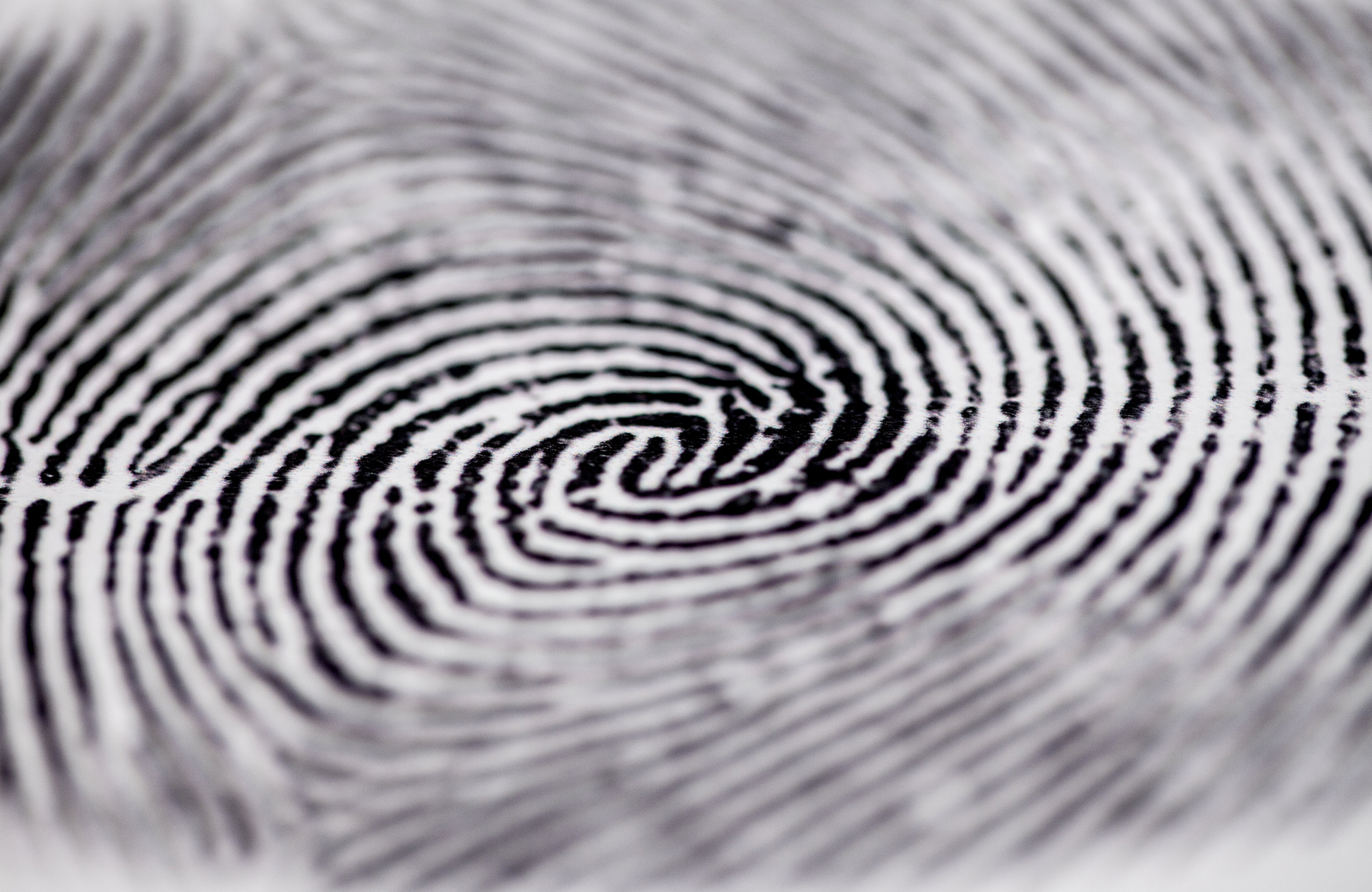 studere kriminologi i utlandet