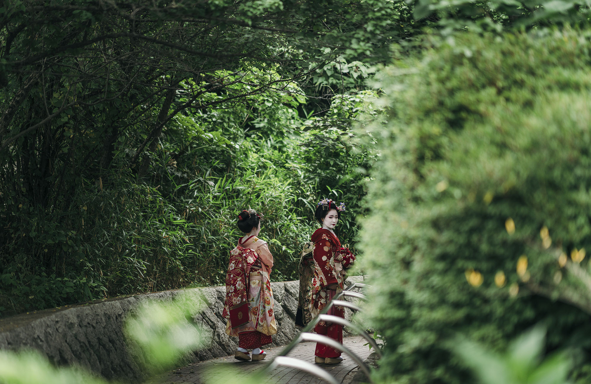 kyoto-japan-geishas-walking-gion-forest-cover