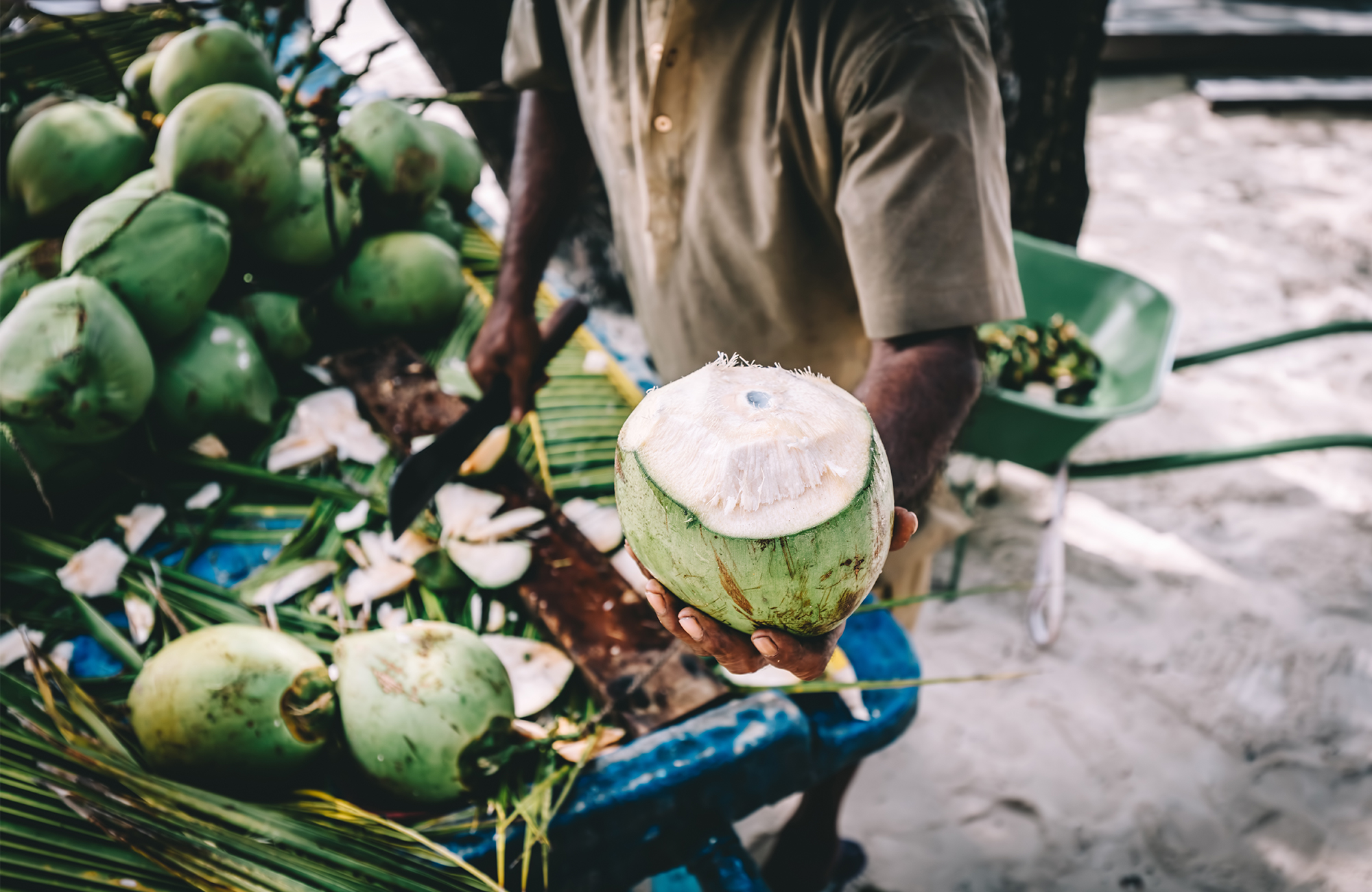 male-maldives-coconut-vendor-cover