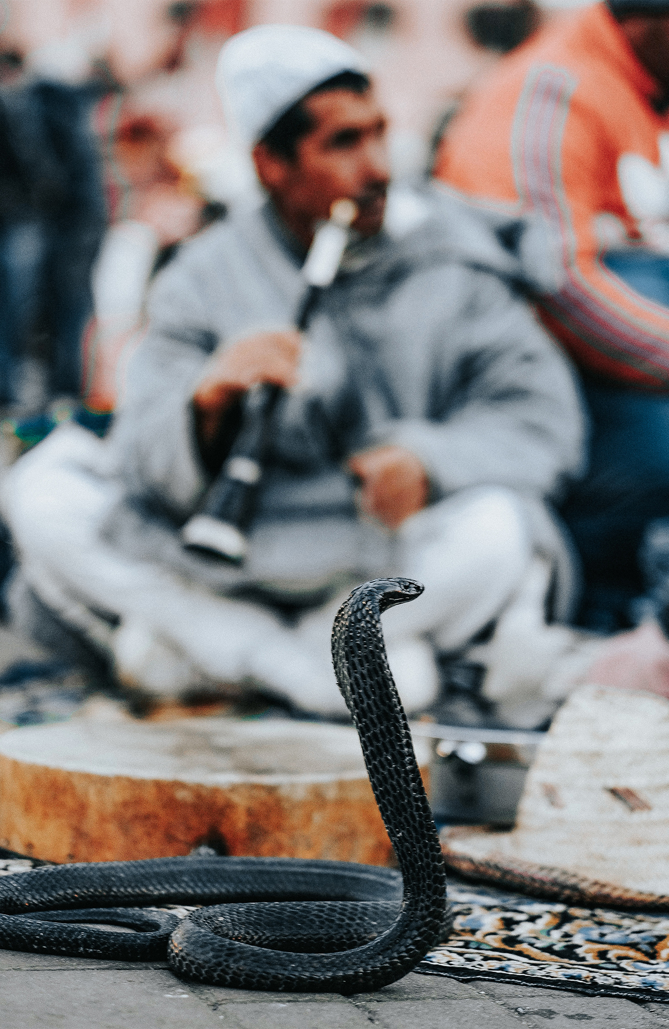 Reiser til Marrakech - gå deg vill i medinaen