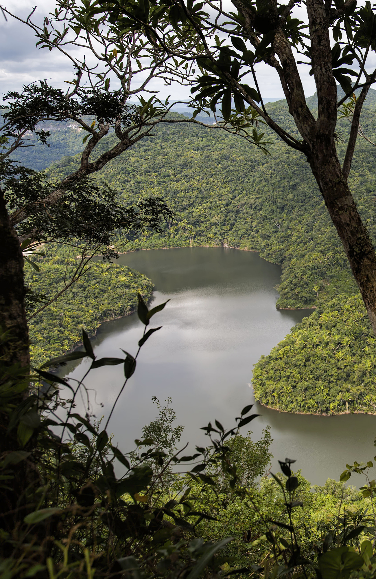 belize-jungle-curvy-river-hills-sidebar