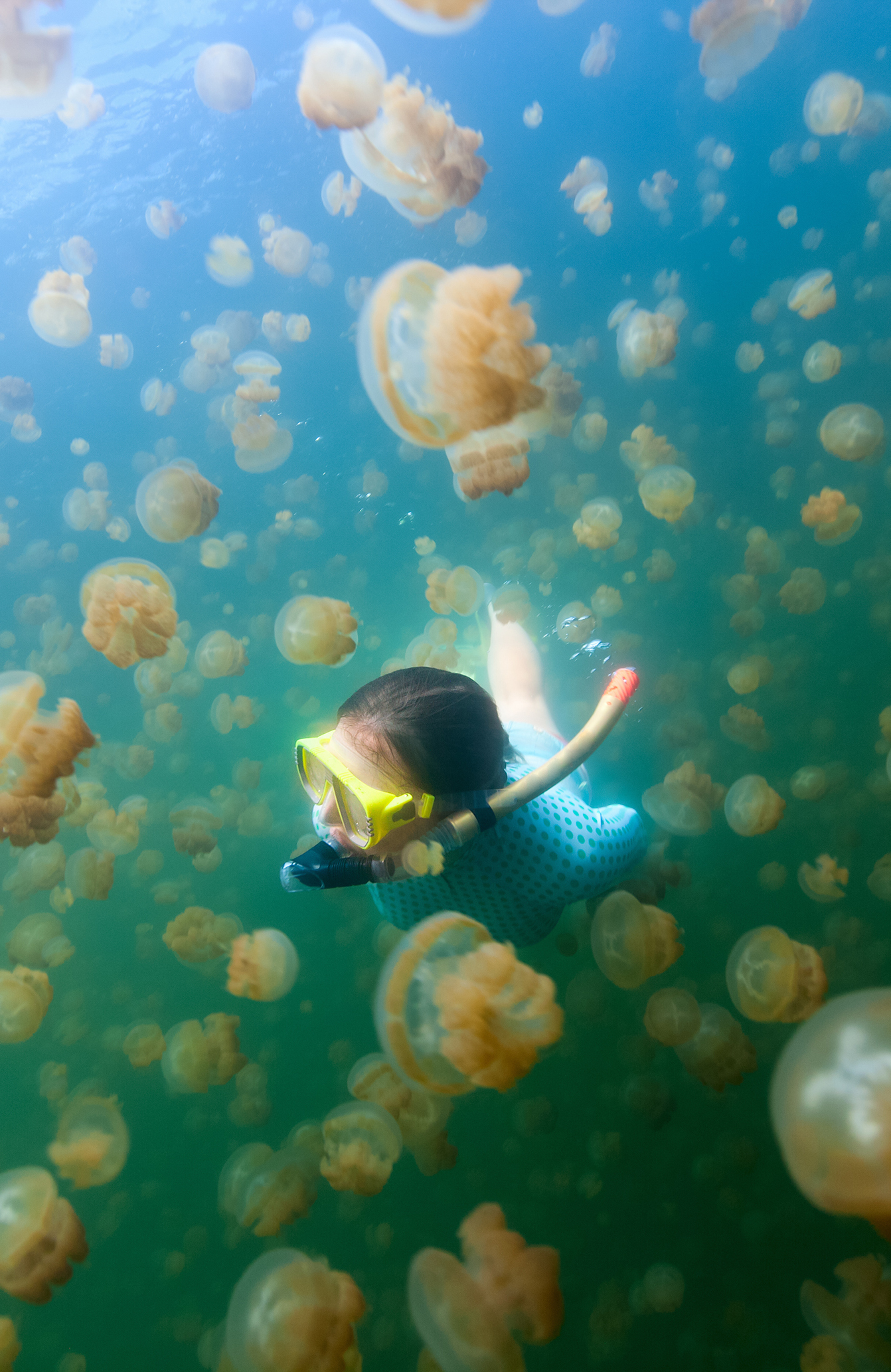 Dykk ned i utenomjordiske Jellyfish Lake
