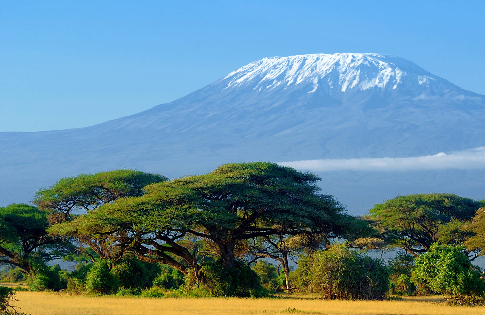 kilimanjaro, afrikas høyeste fjell