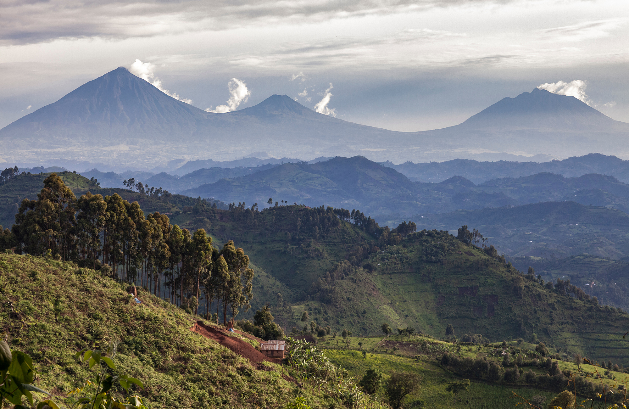 Reiser til Rwanda - Land of the thousand hills