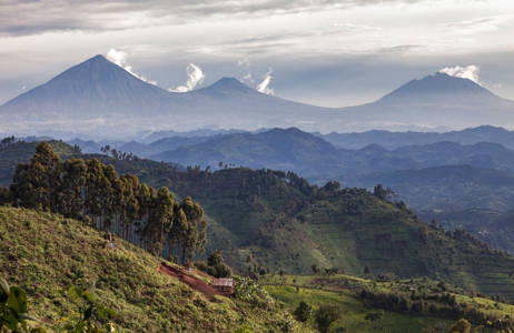 Rwanda - Volcanoes National Park i horisonten