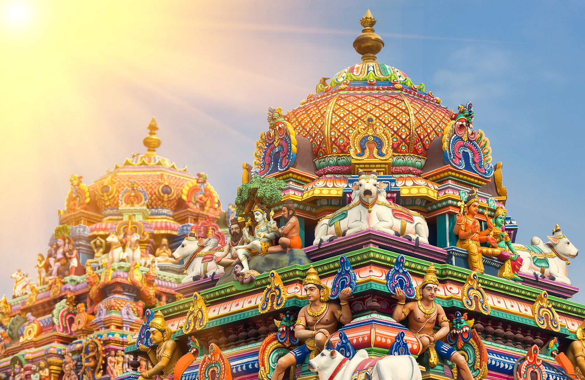 Reiser til Chennai - krydder og templer!