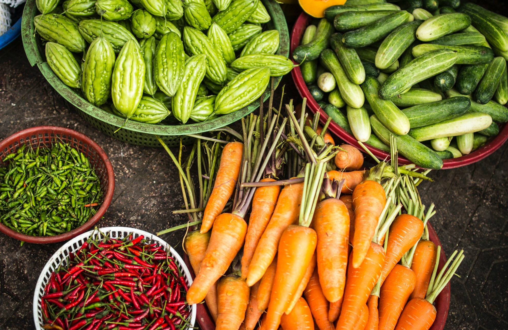 studere ernæring i utlandet