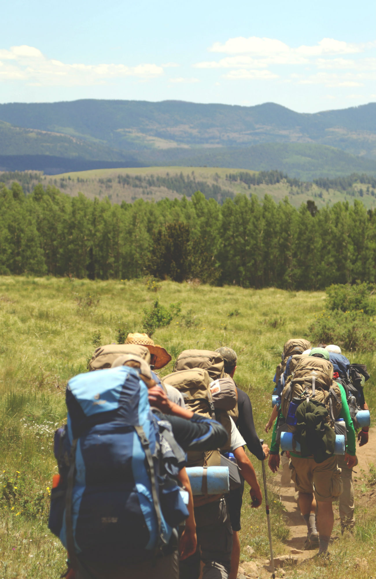 Studer reiseliv i utlandet