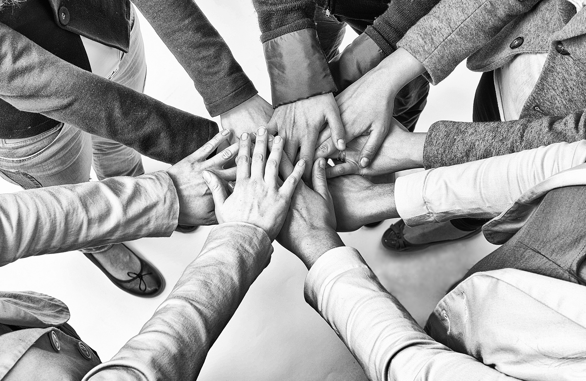 Studer politikk og internasjonale relasjoner i utlandet