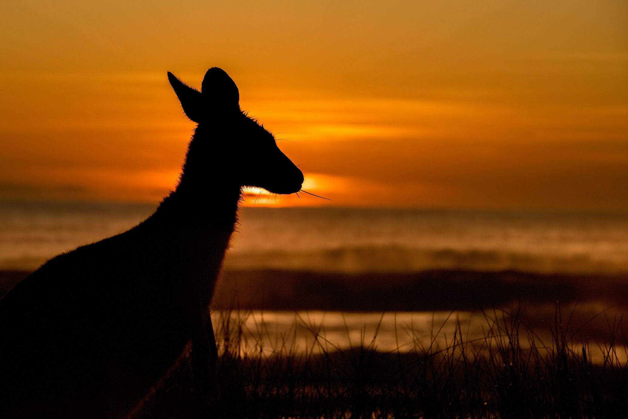 Web Horizontal Trevor Mckinnon Jqdj0a0lnv4 Unsplash