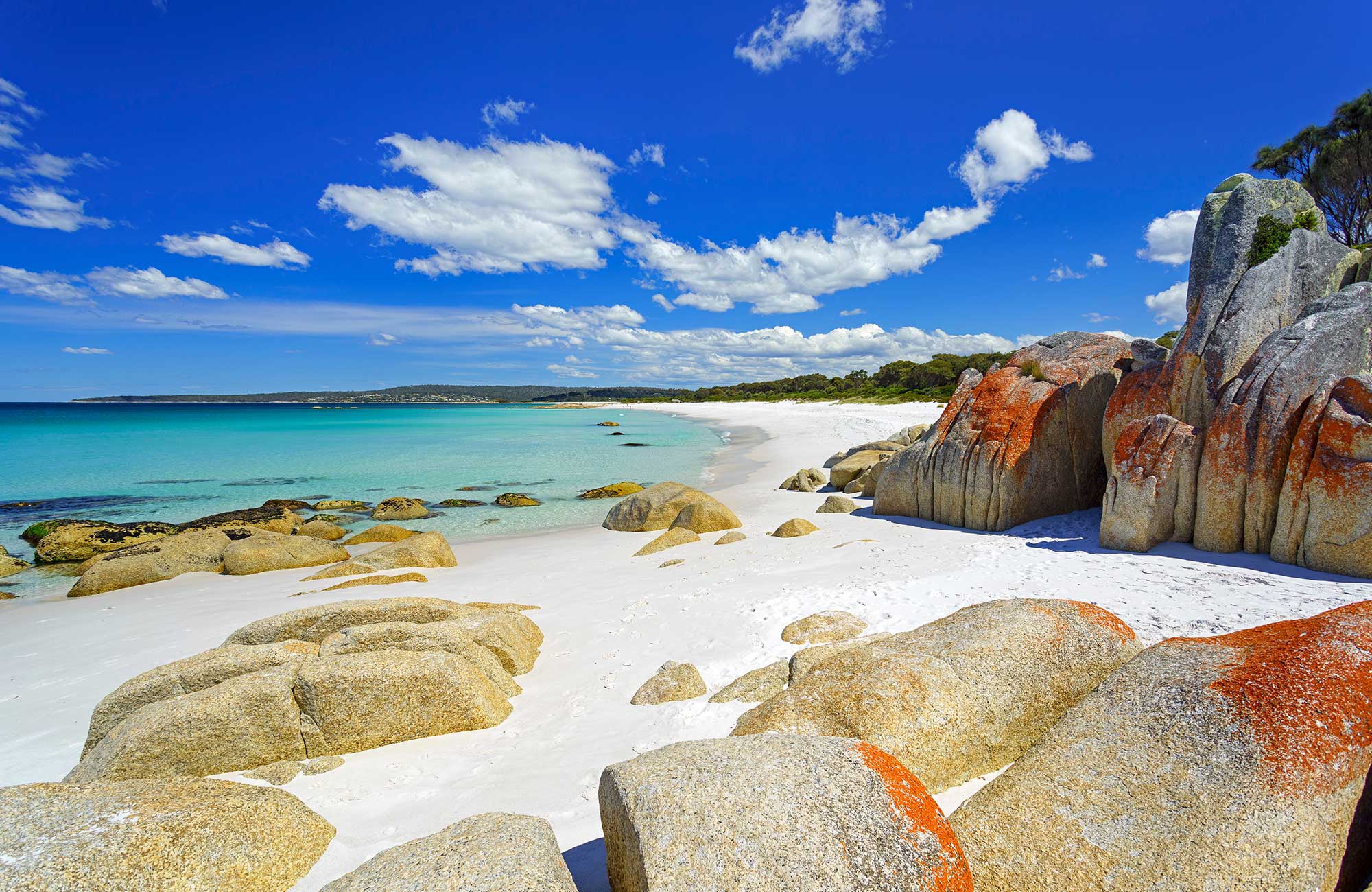 Årsstudium | Australiastudier i Melbourne