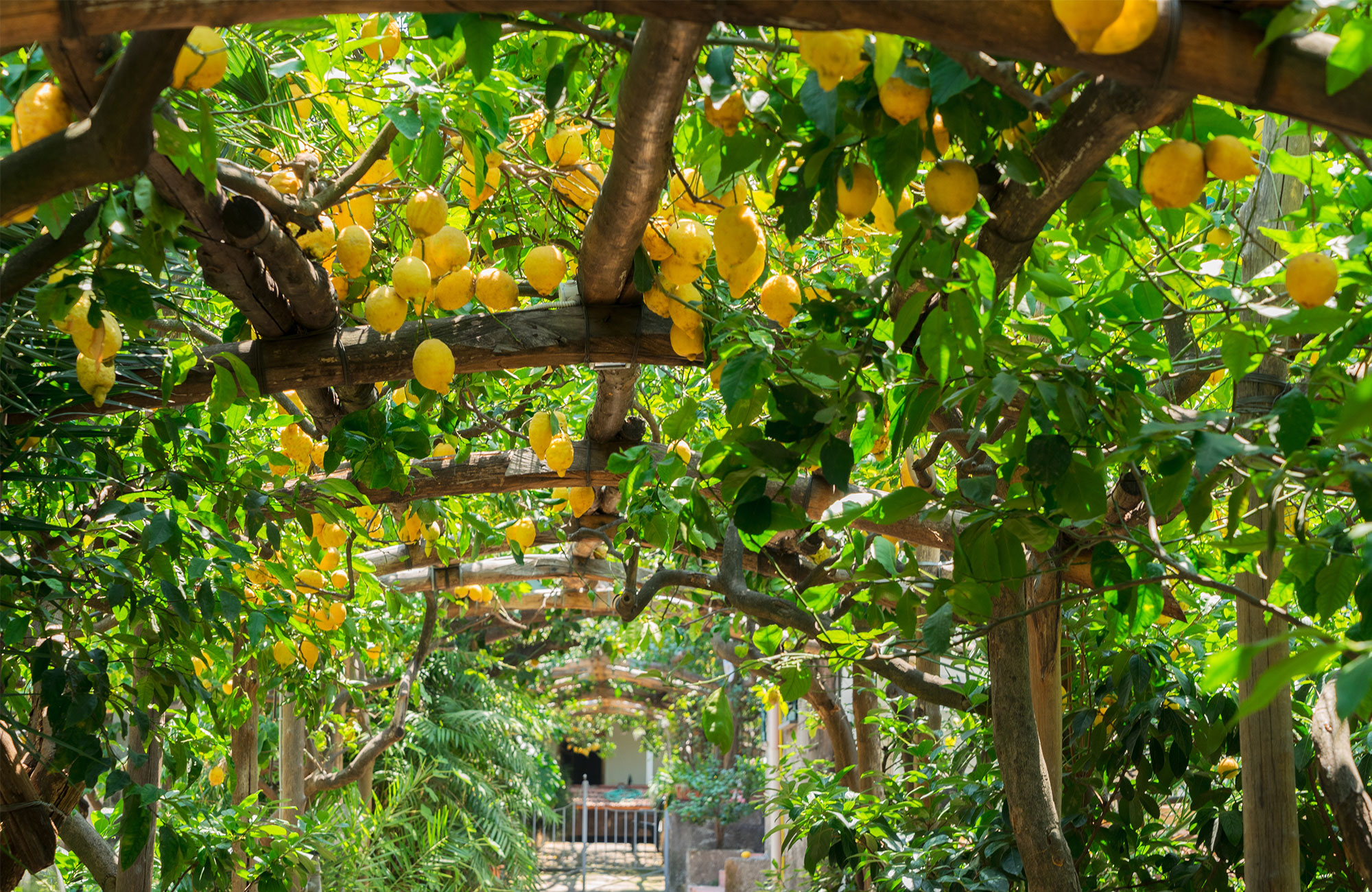 Opplevelsesreiser i Europa med KILROY