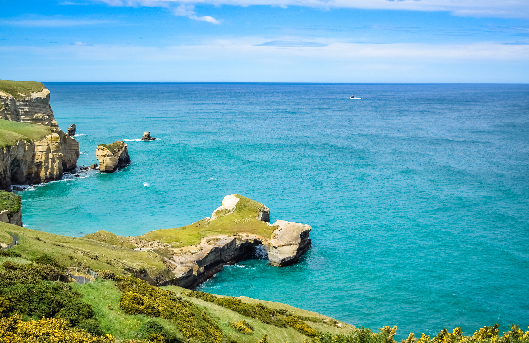 Studere i Wellington | Studier i Wellington 