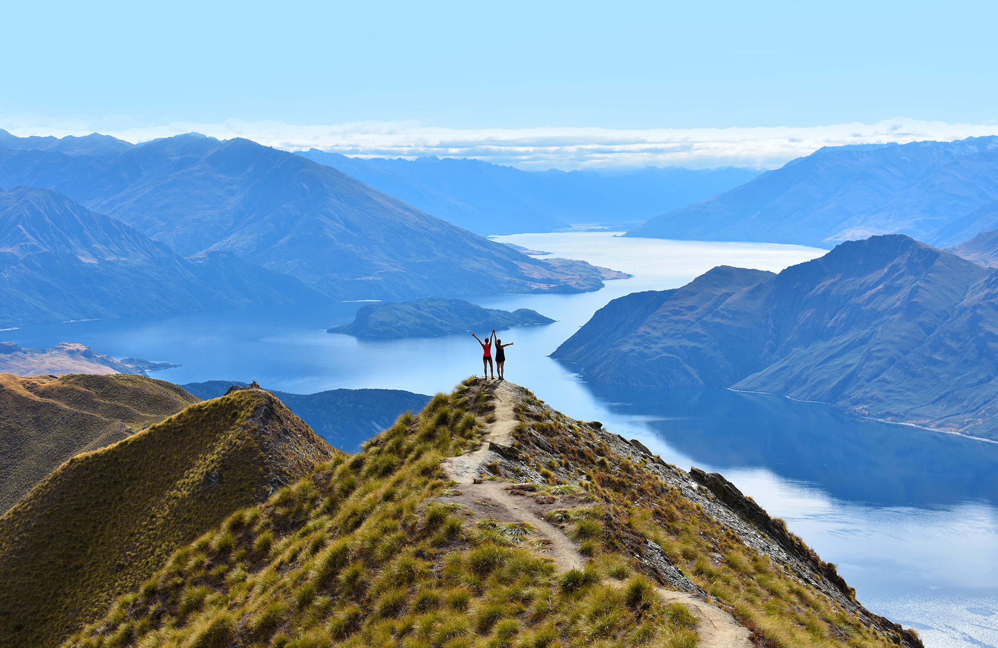 Stray bussreiser og busspass på New Zealand
