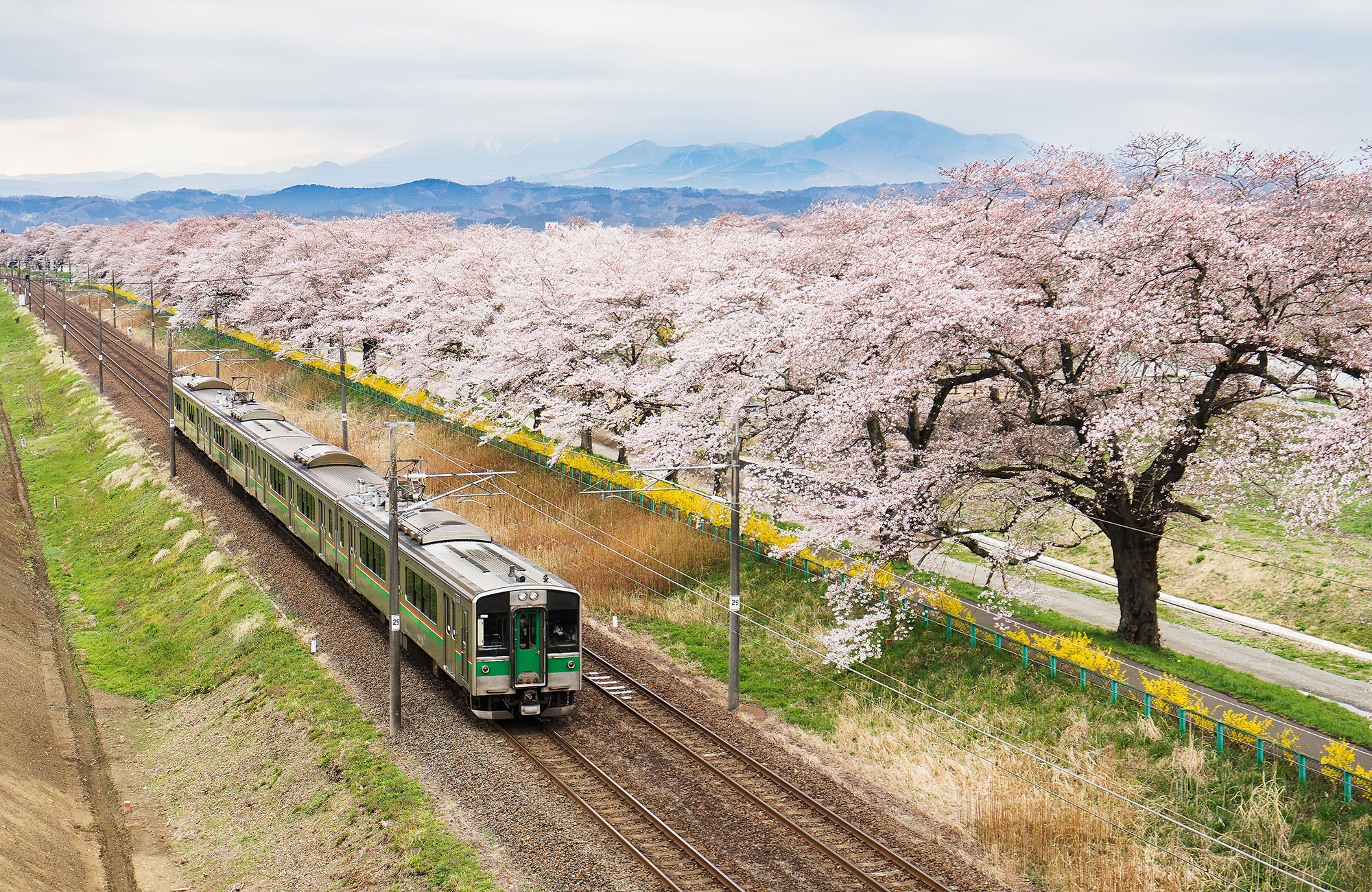 Togpass i Japan