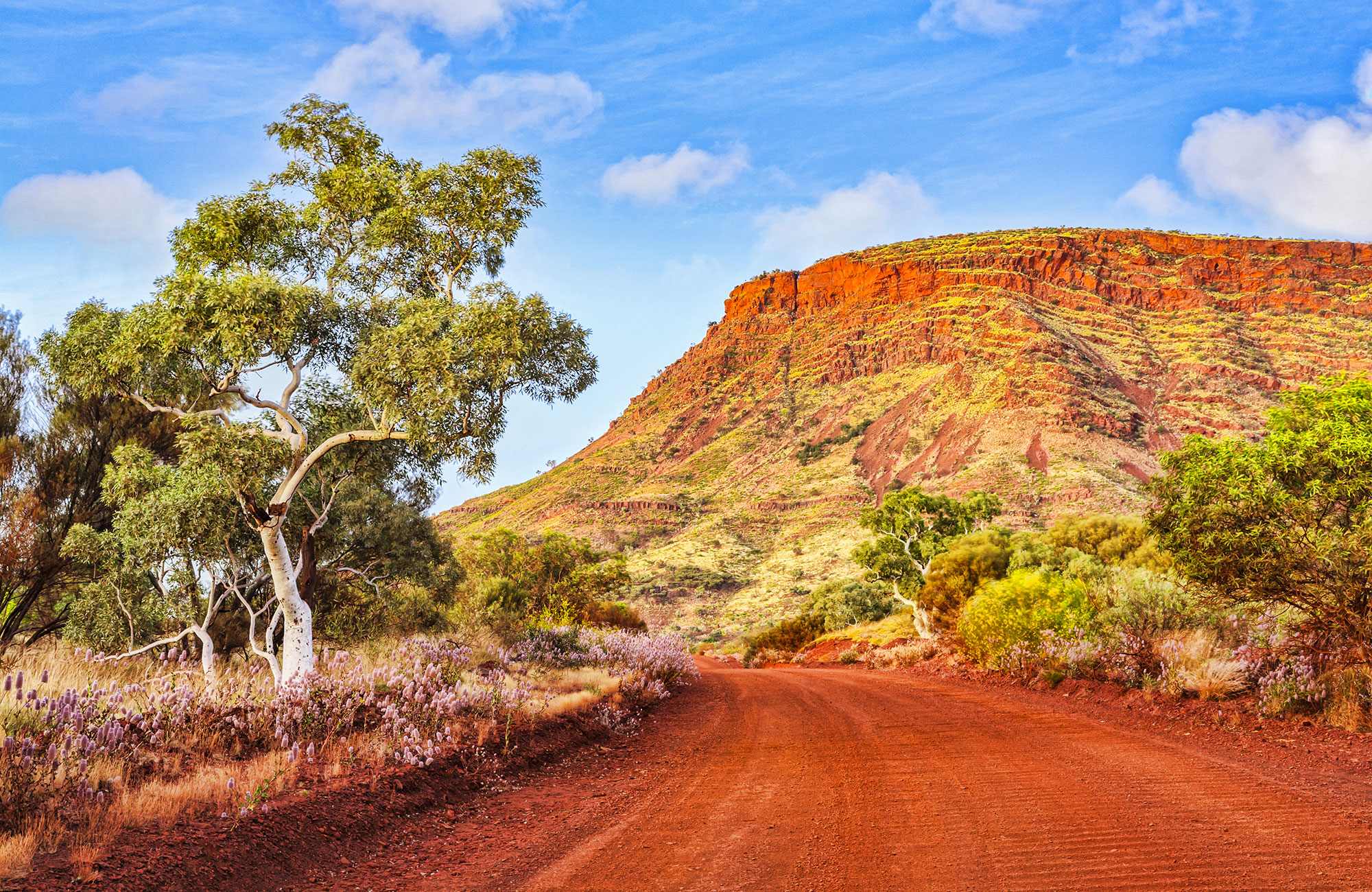 Lei en Chubby campervan fra Travellers Autobarn i Australia