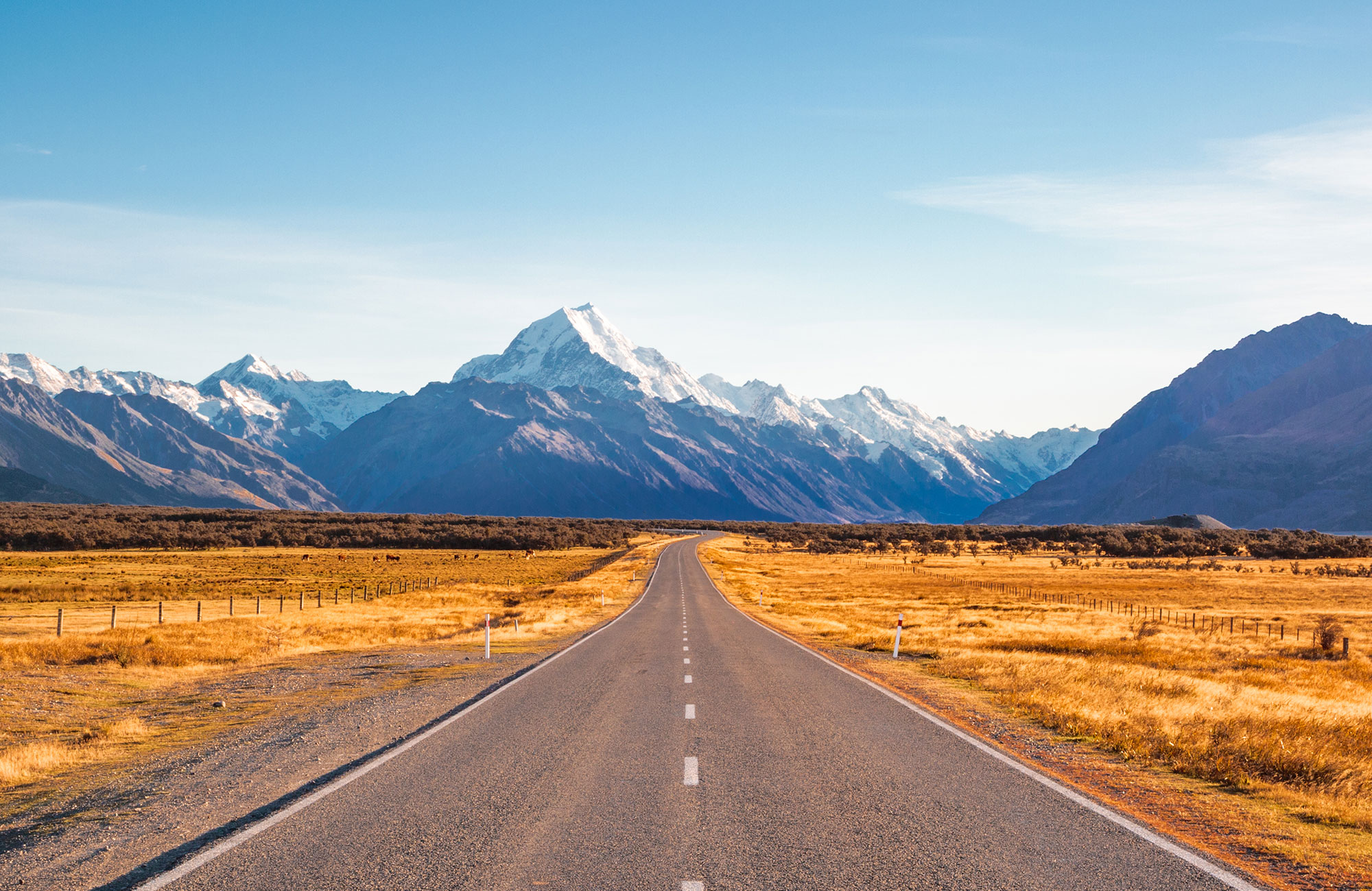 Lei en Chubby campervan fra Travellers Autobarn på New Zealand