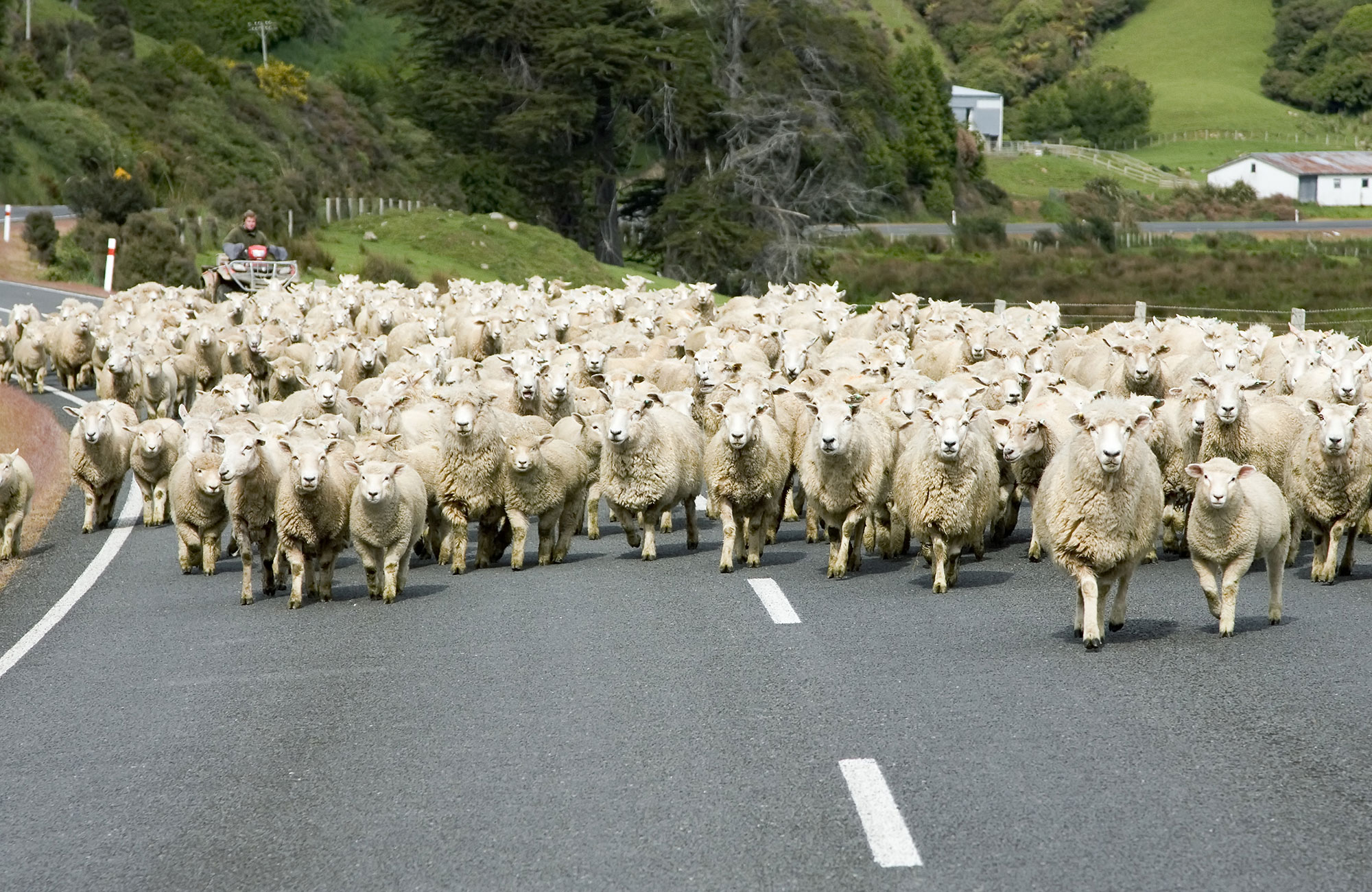 Lei en Hi-Top campervan på New Zealand | KILROY