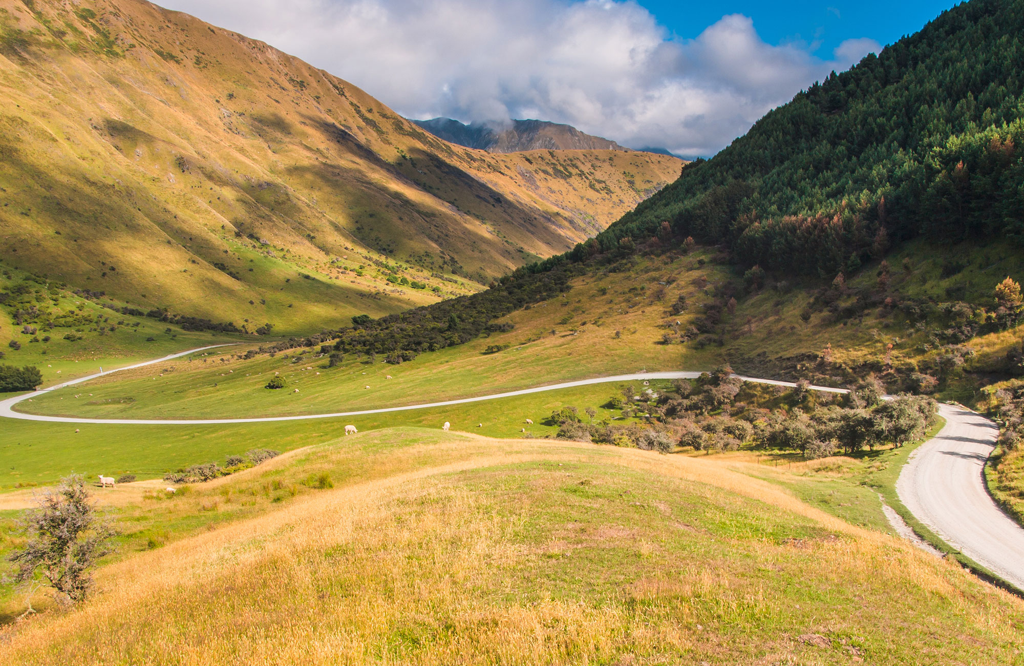 Lei en Crib campervan på New Zealand | KILROY