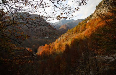 vakre farger i naturen om du reiser til albania på høsten