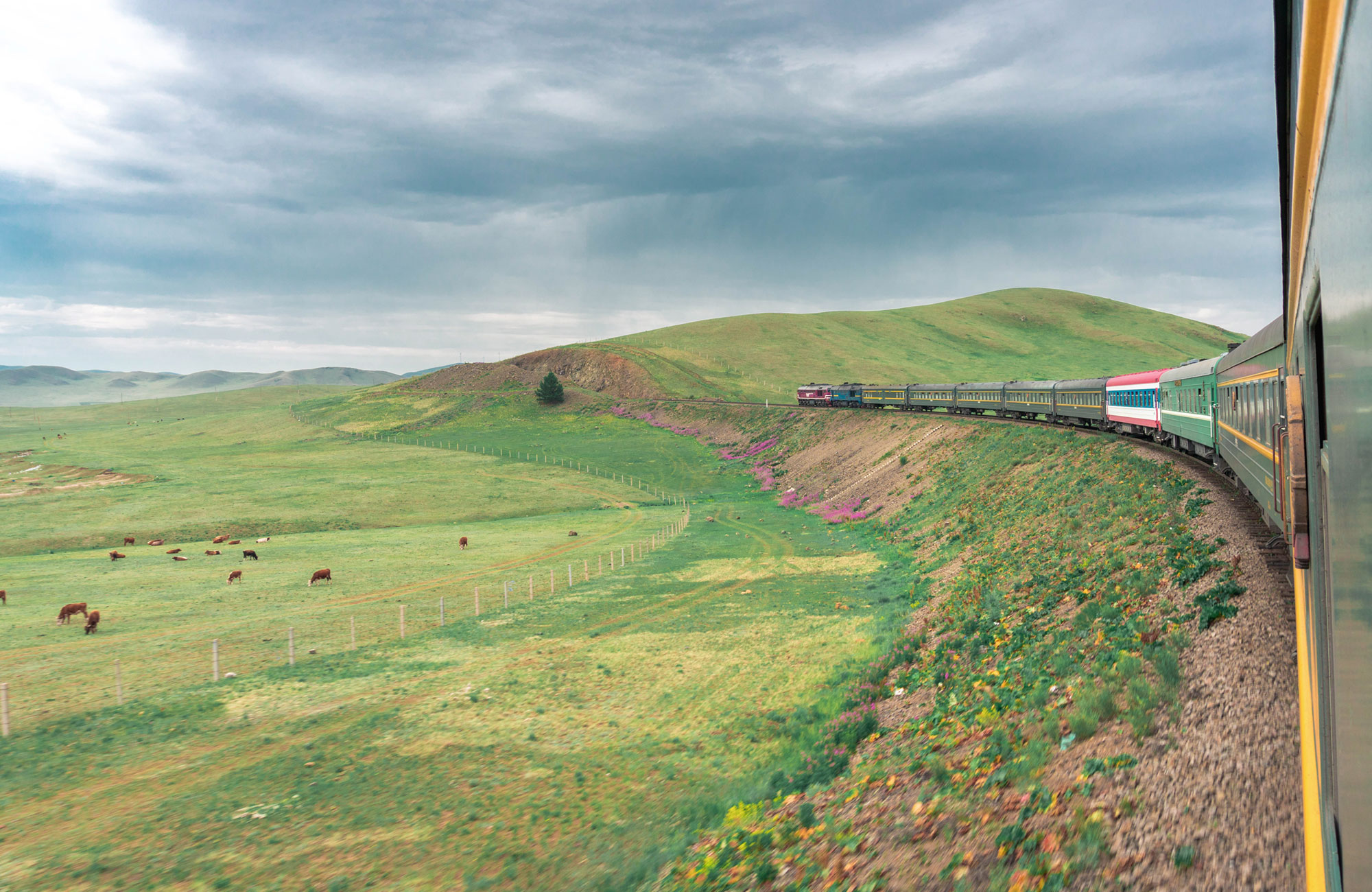 Train Transsiberian Railway Mongolia Green Steppes