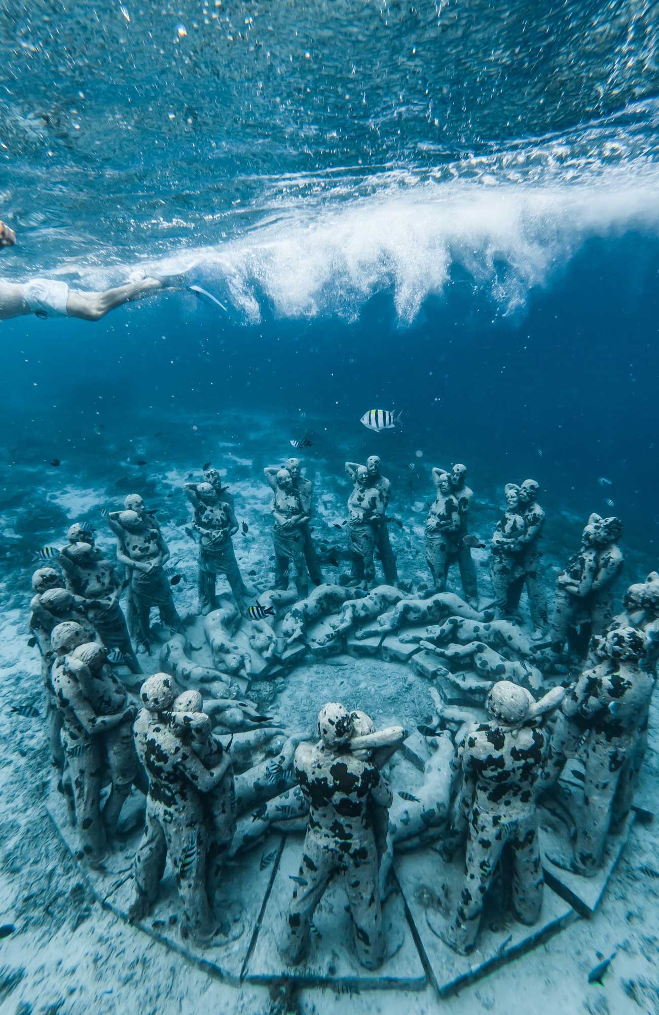 The Wet Dream - jorden rundt-reise med KILROY