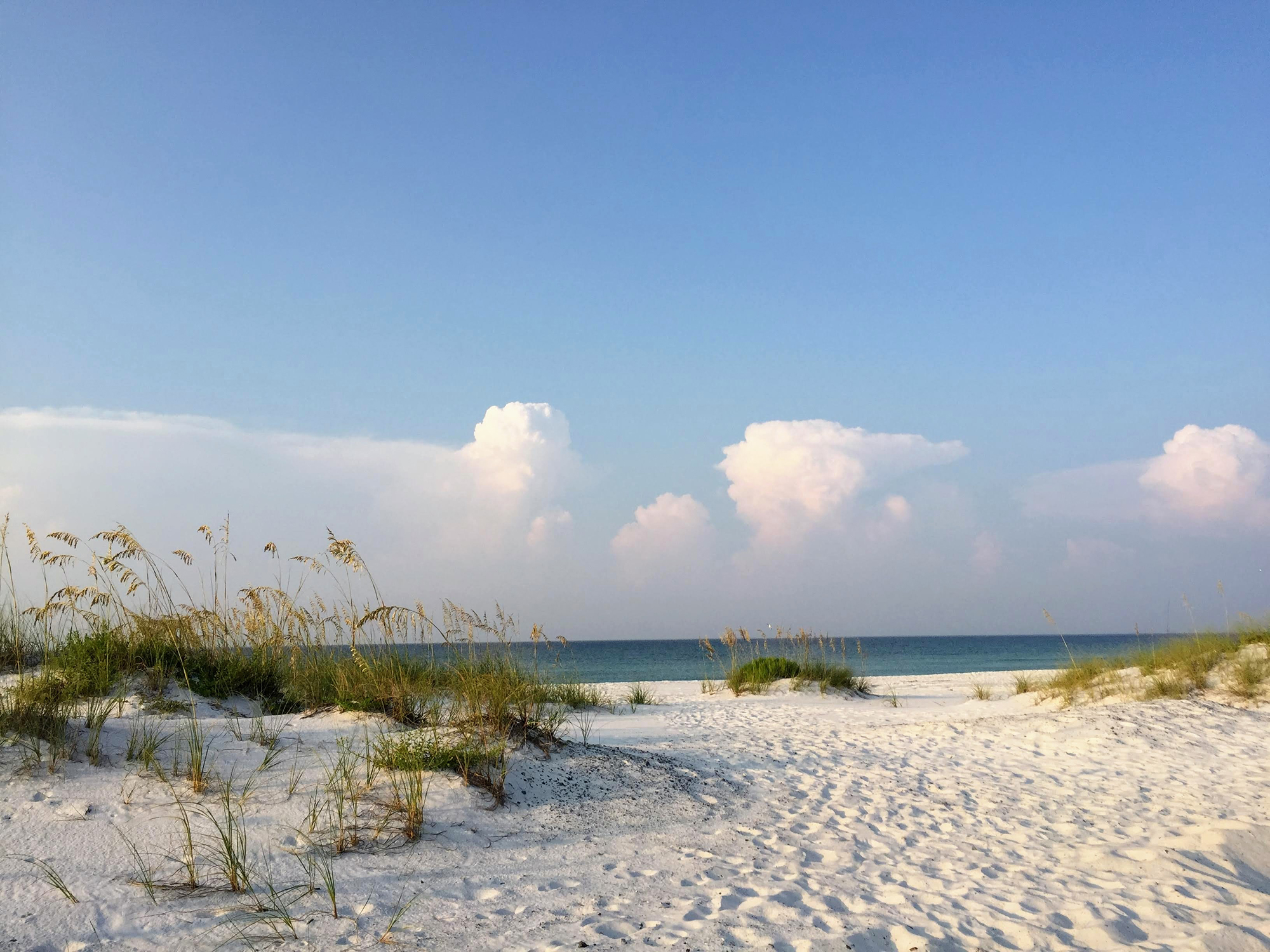 Studere i Florida | Studier i Florida 