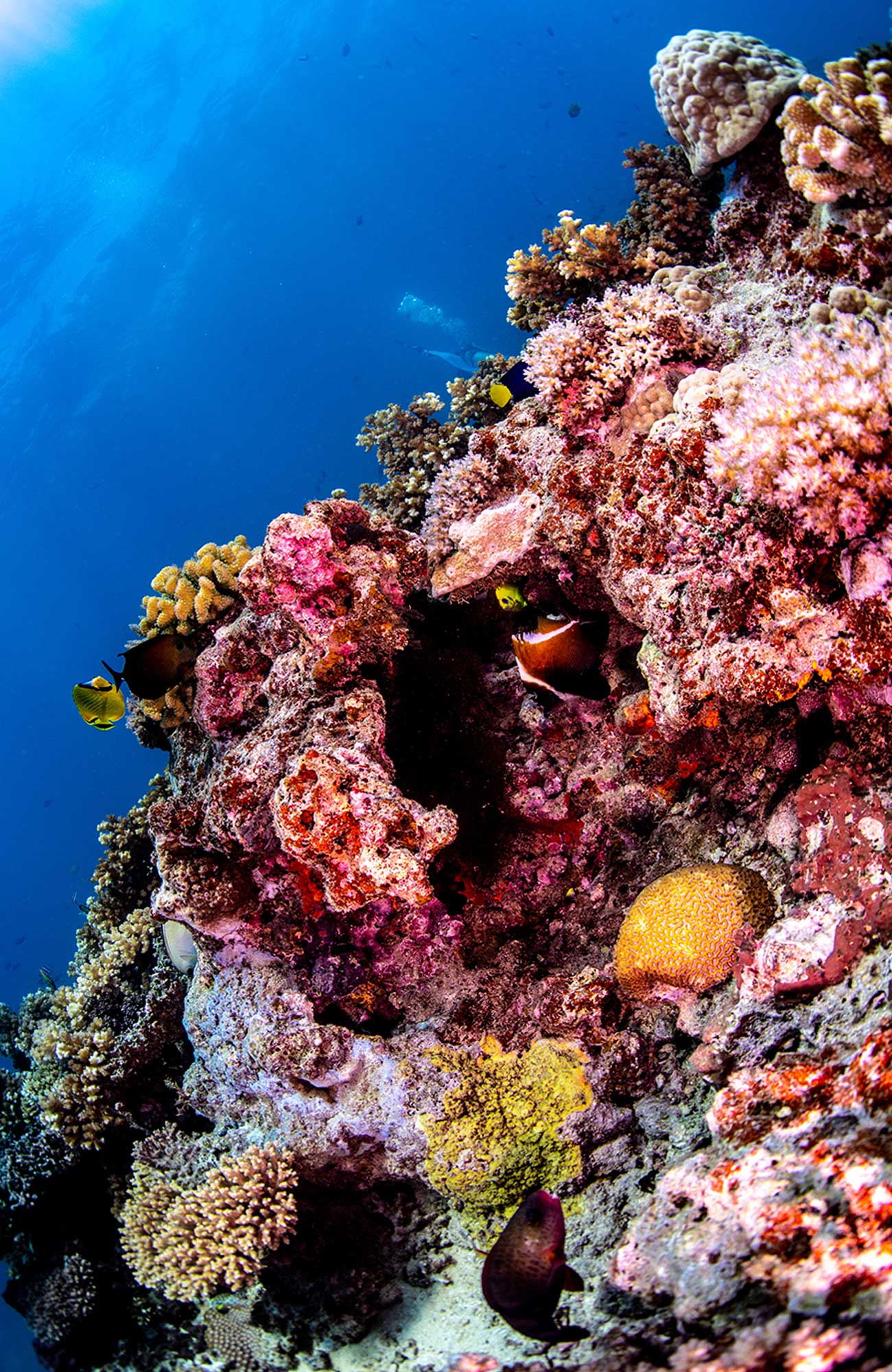 Reise til Fiji med KILROY