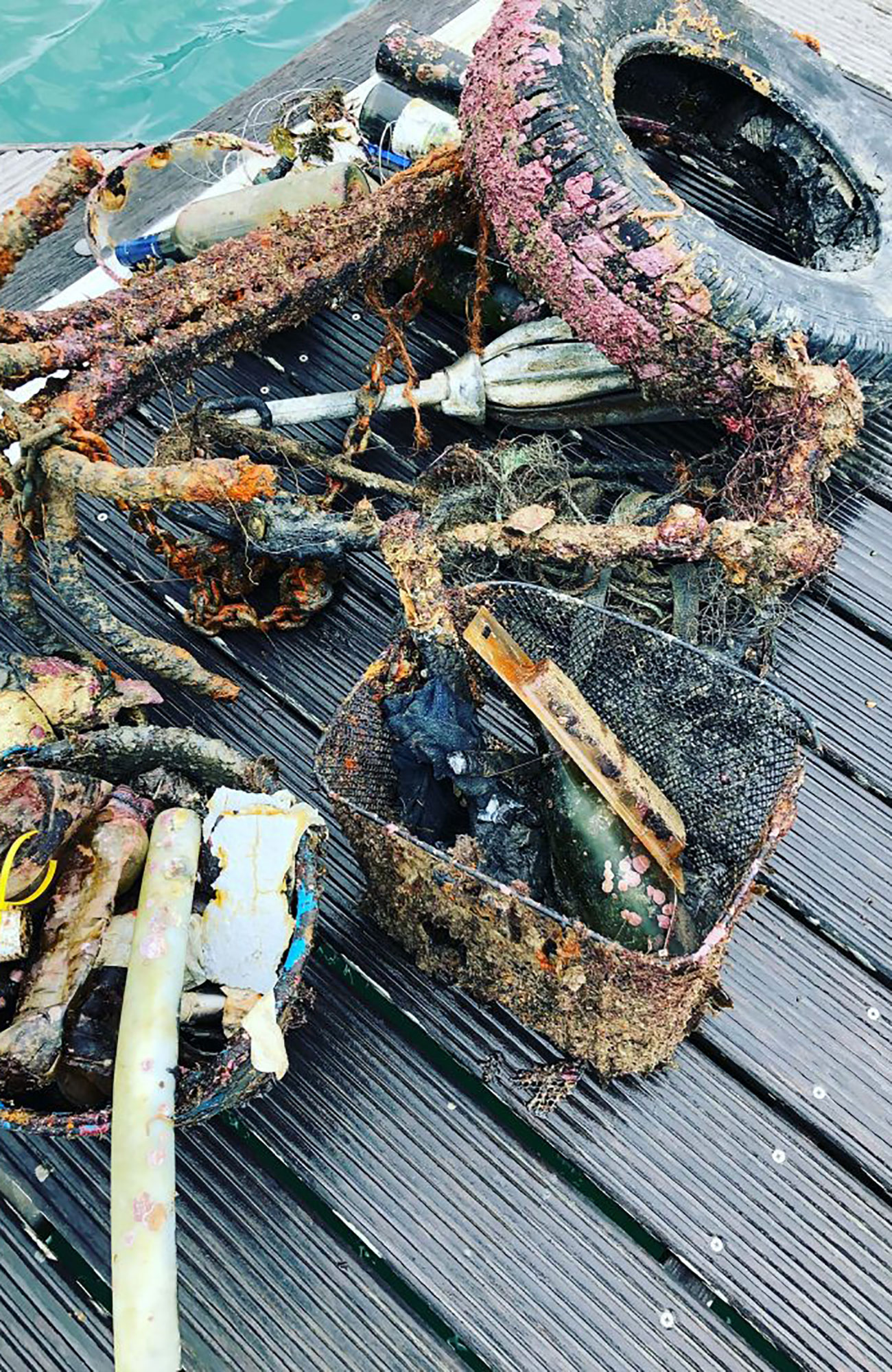 fangst etter opprydning i havet i Portugal